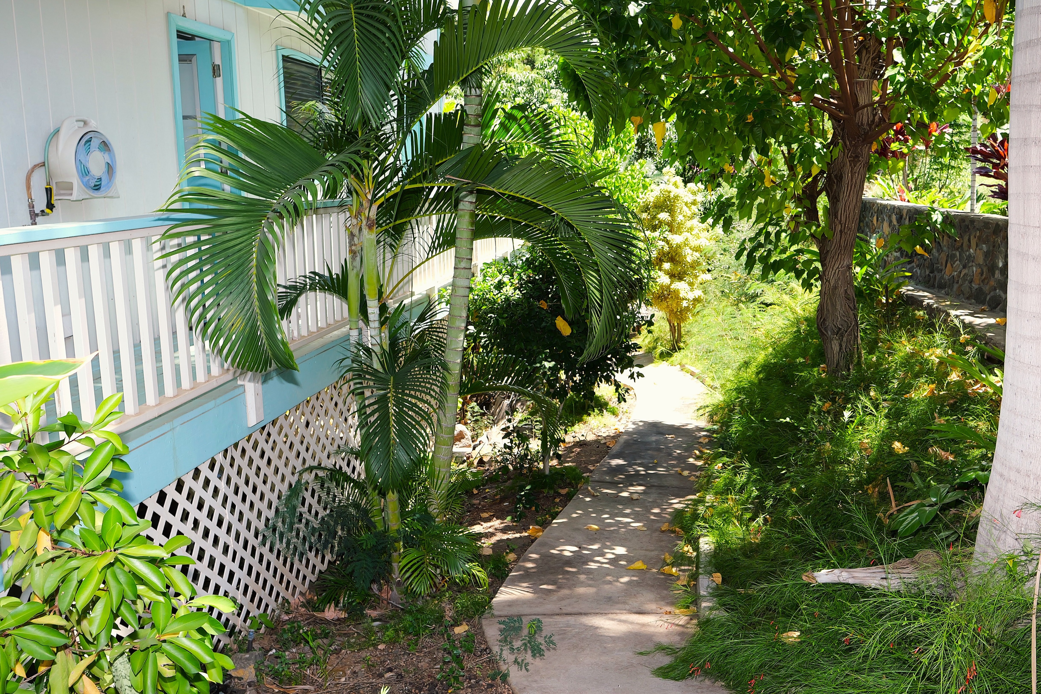  3 Bed/2Bath with 1/1 attached ohana - 物件實景
