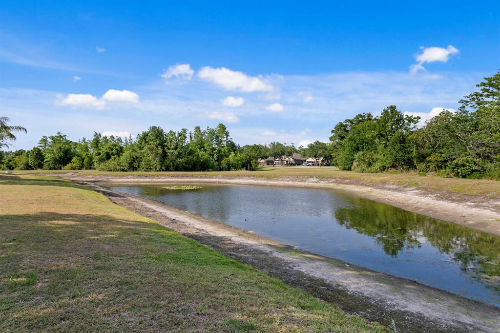 Lutz, Florida, 33558, United States, 4 Bedrooms Bedrooms, ,4 BathroomsBathrooms,Residential,For Sale,1817668