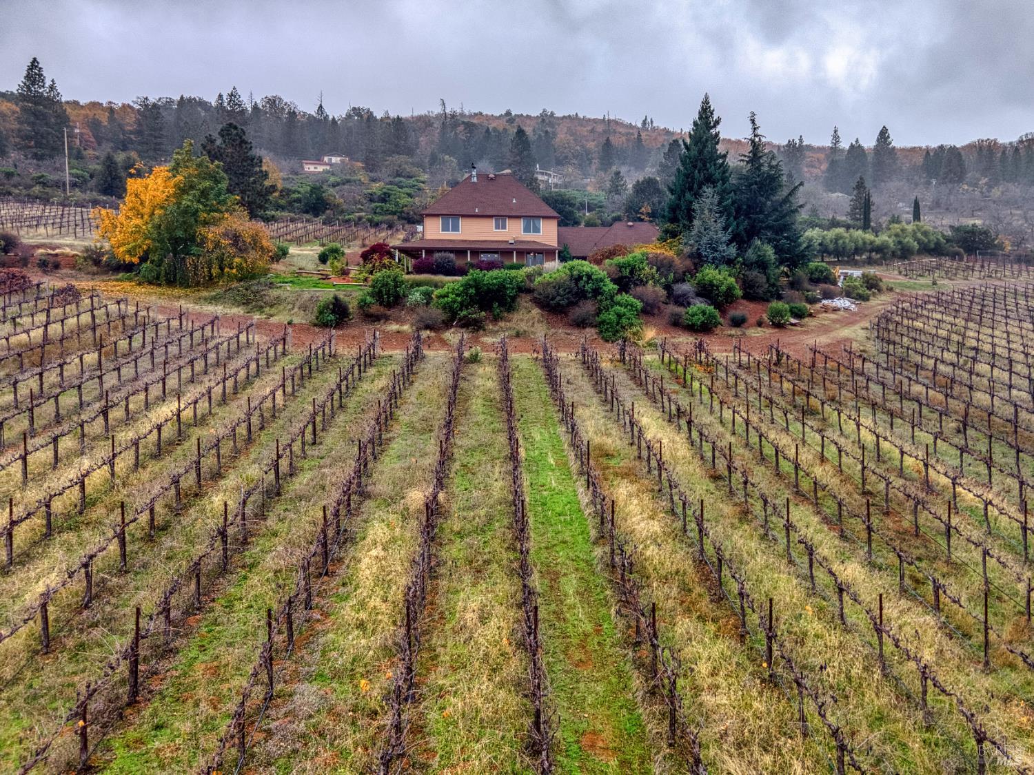 Kelseyville, California, 95451, United States, 5 Bedrooms Bedrooms, ,7 BathroomsBathrooms,Residential,For Sale,2000085