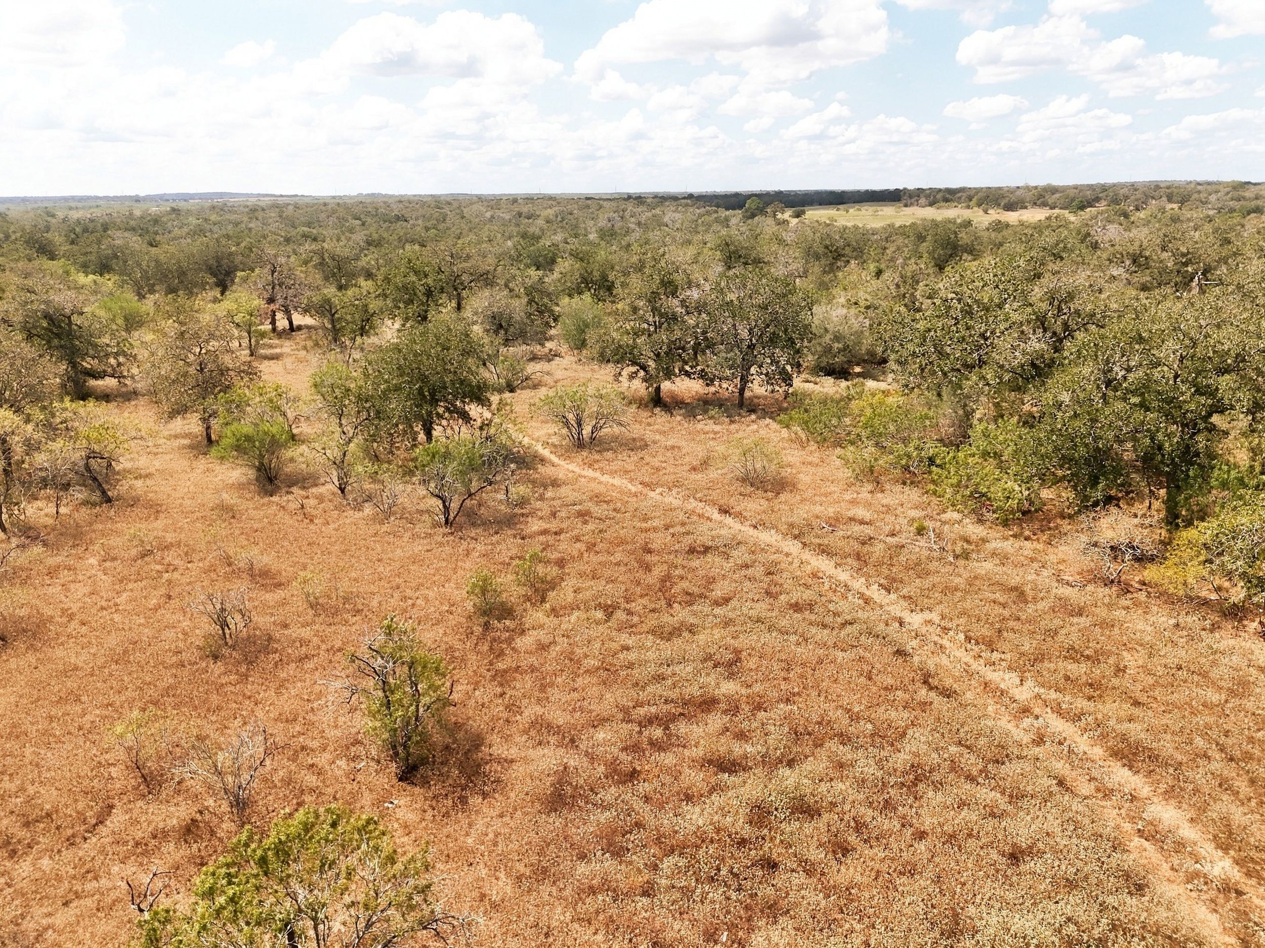  186+/- Acre Post Oak Hill Ranch - 物件實景