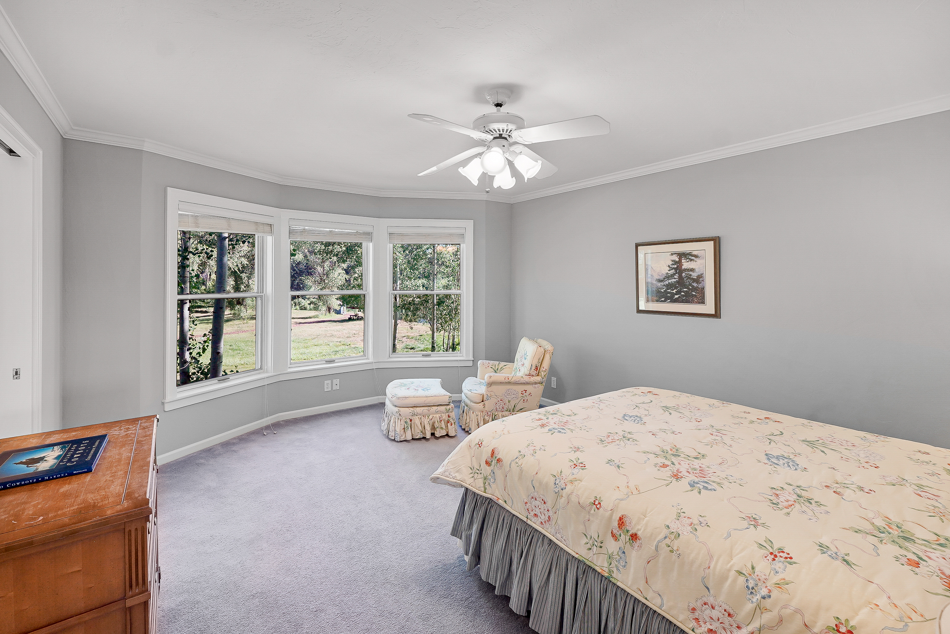  9907 County Road 250, Durango, CO 81301 - 物件實景