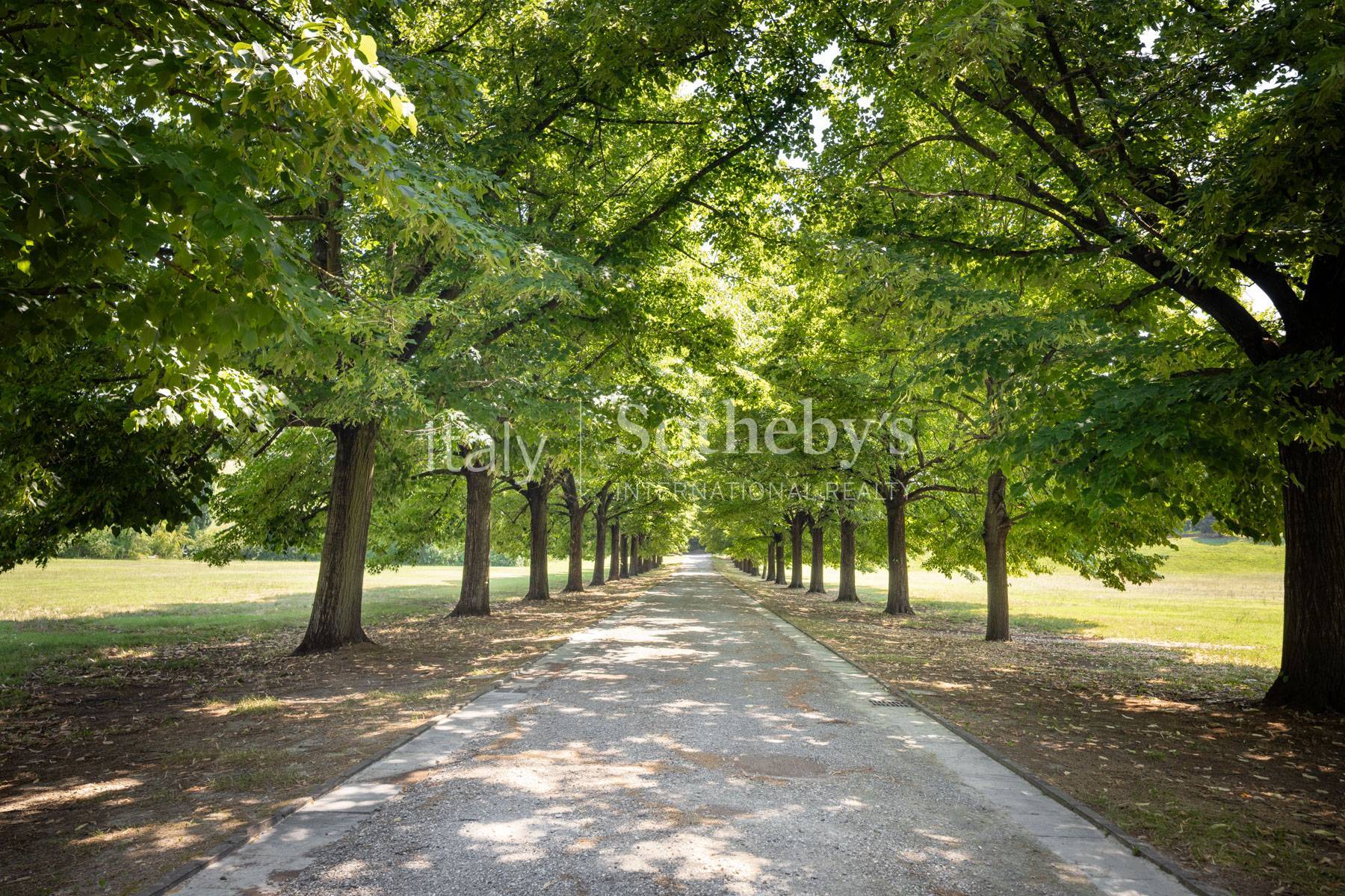  Representative Estate with Three Villas and Private Park - 物件實景