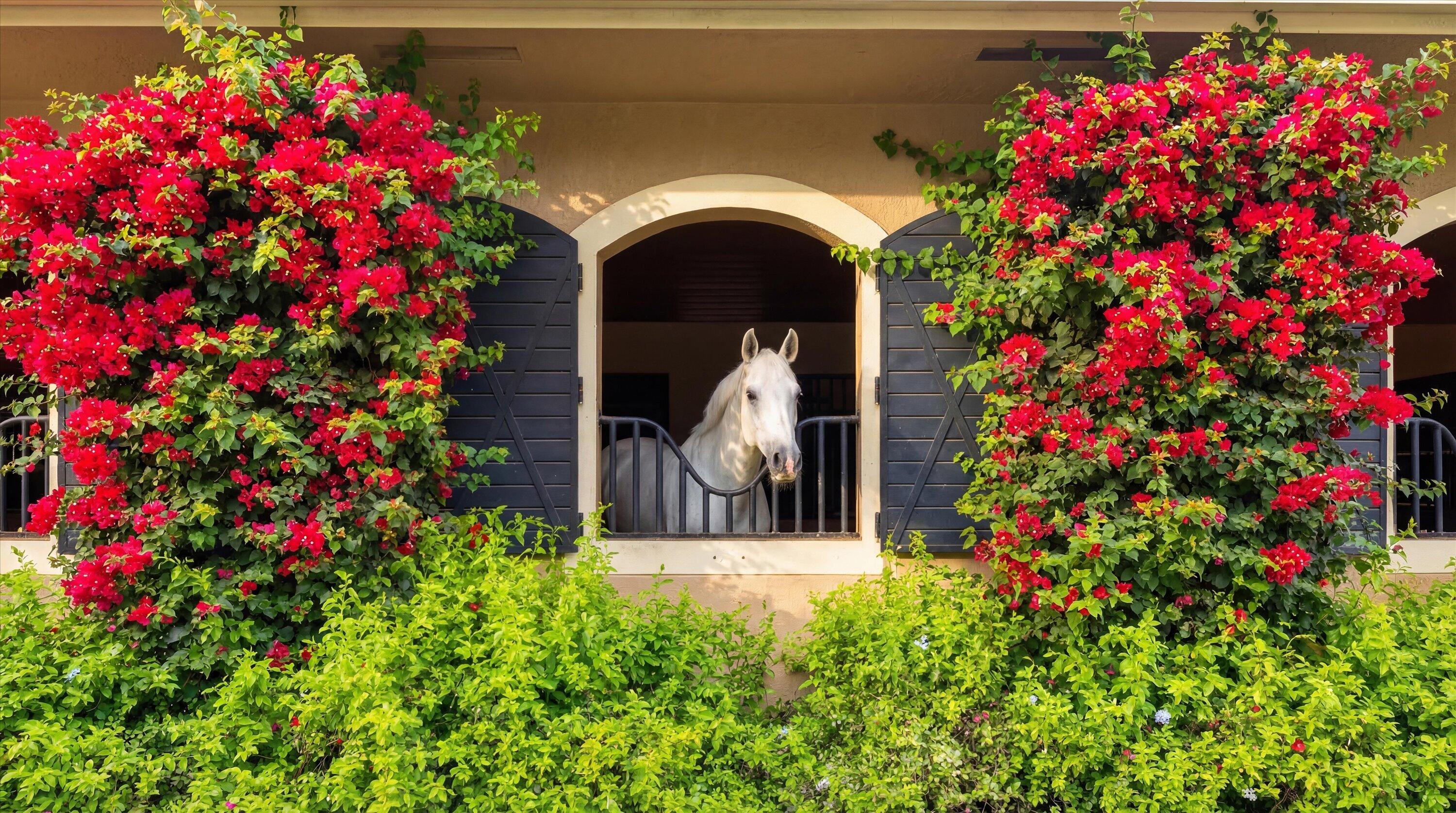  14911 Equestrian Way - 物件實景