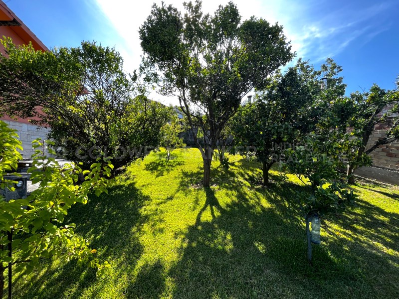 Pontevedra, Vigo, Comesa?a - Matam?, Matam? Pontev, Vigo, Galicia, ES, 4 Bedrooms Bedrooms, ,3 BathroomsBathrooms,Residential,For Sale,Pontevedra, Vigo, Comesa?a - Matam?, Matam? Pontev,1599052