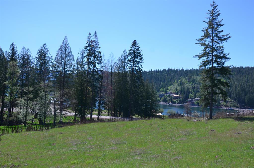 Sagle, Idaho, 83860, United States, ,Land,For Sale,1980438