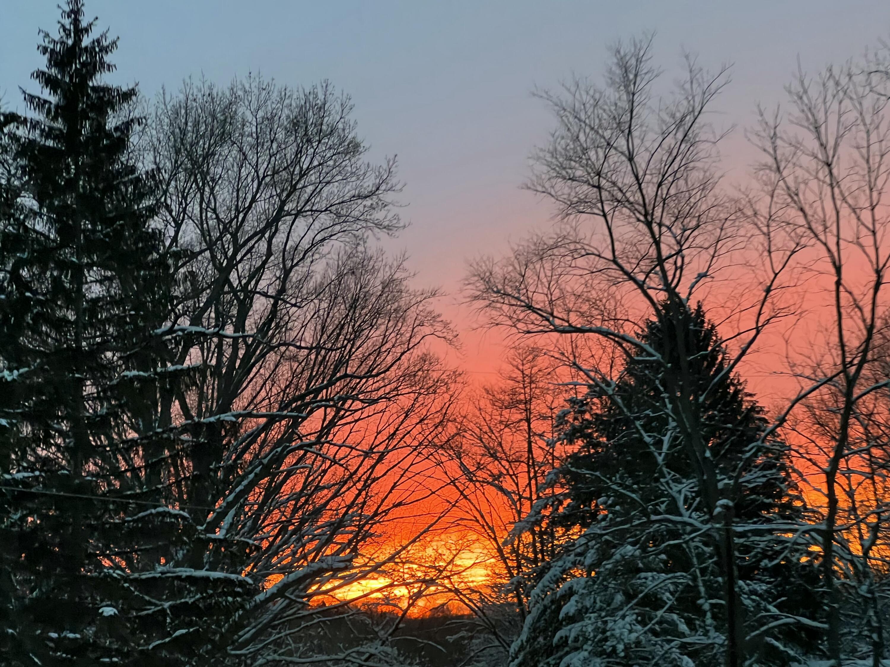 Berrien Springs, Michigan, 49103, United States, 4 Bedrooms Bedrooms, ,4 BathroomsBathrooms,Residential,For Sale,2005199