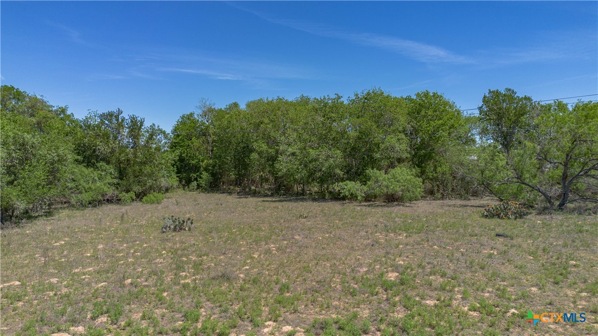 Seguin, Texas, 78155, United States, ,Land,For Sale,2048834