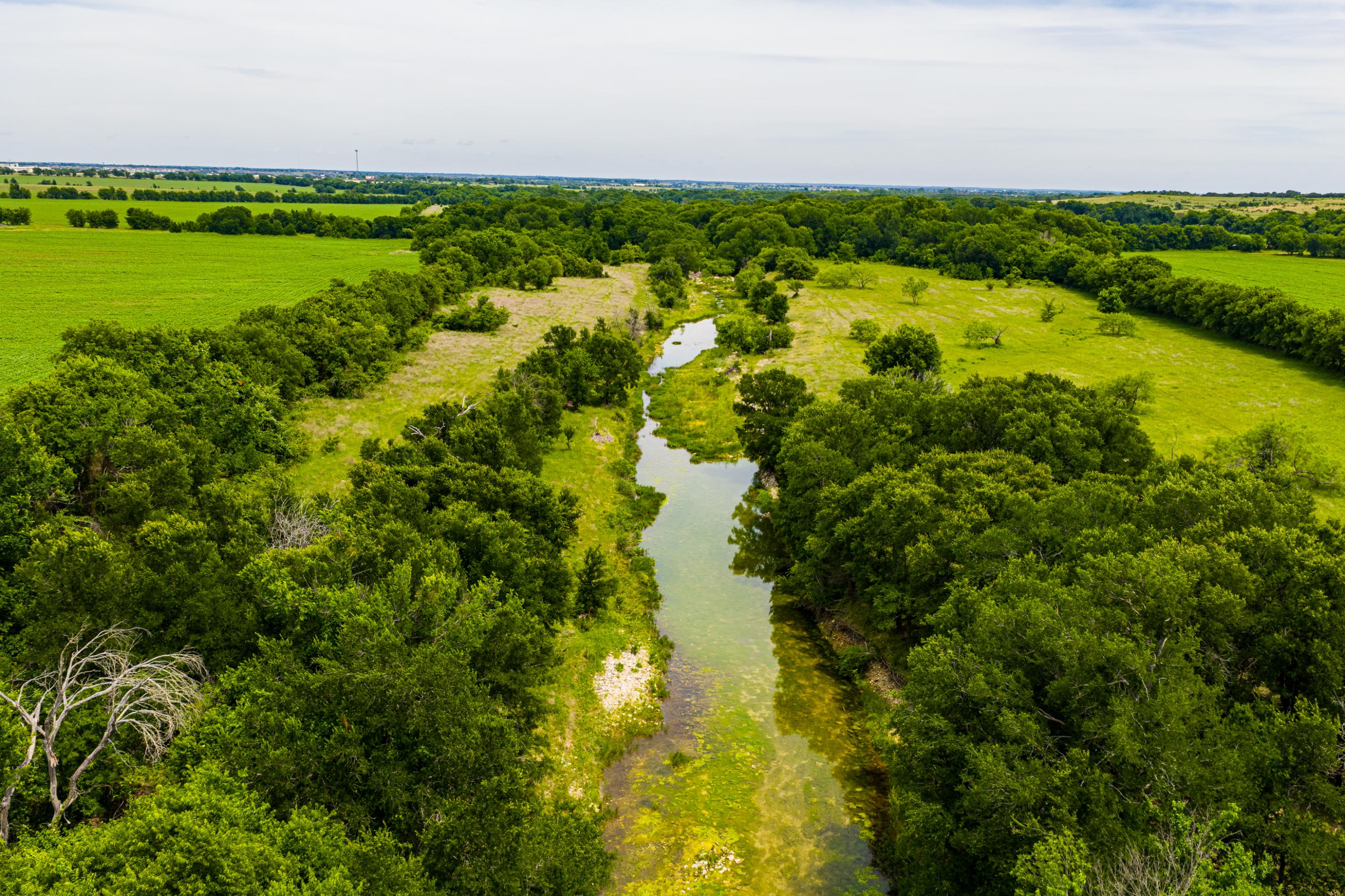  667 Acre Development Property With Two Miles Of Highway Frontage - 物件實景