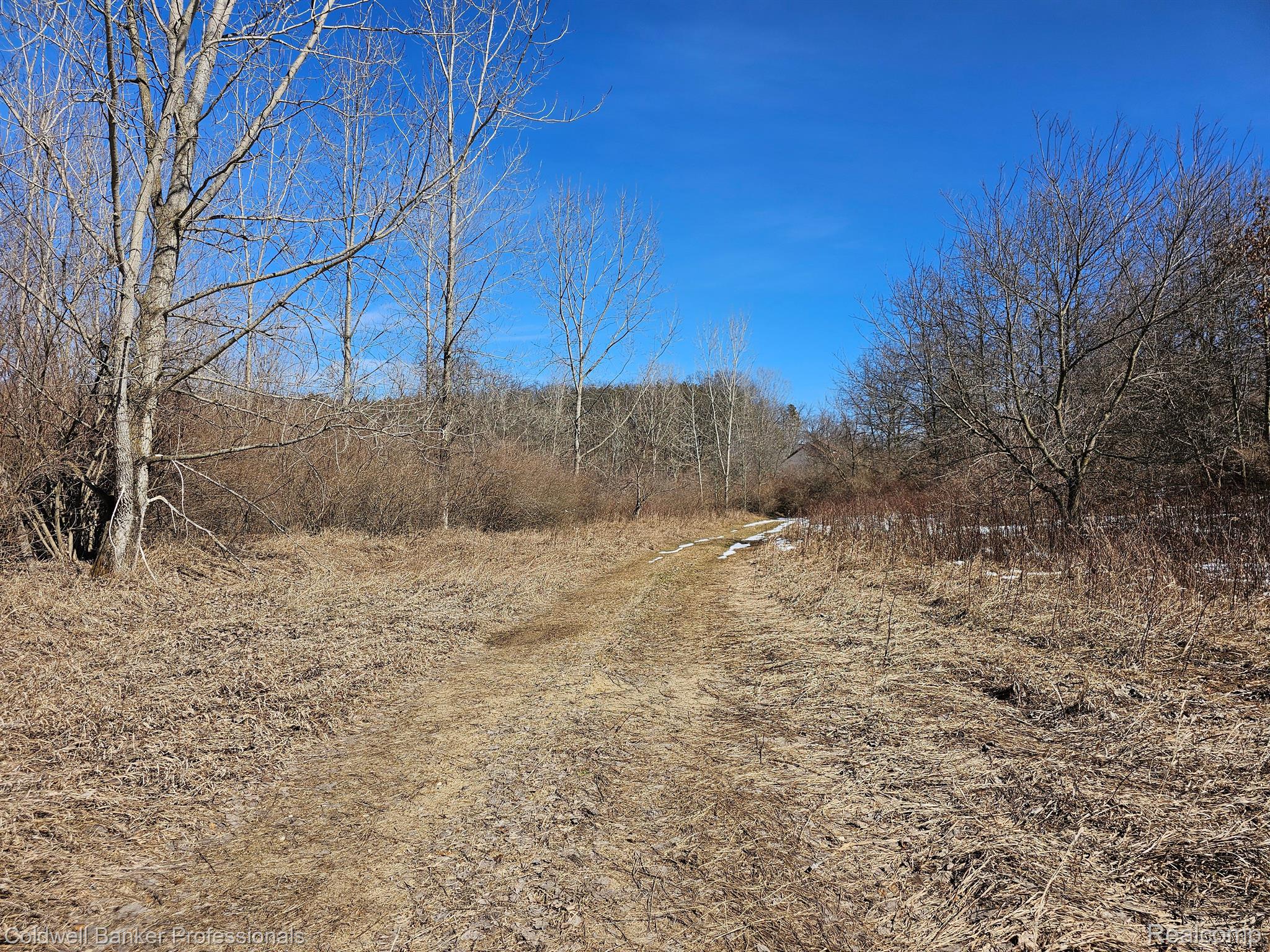 Metamora, Michigan, 48455, United States, ,Land,For Sale,1736755