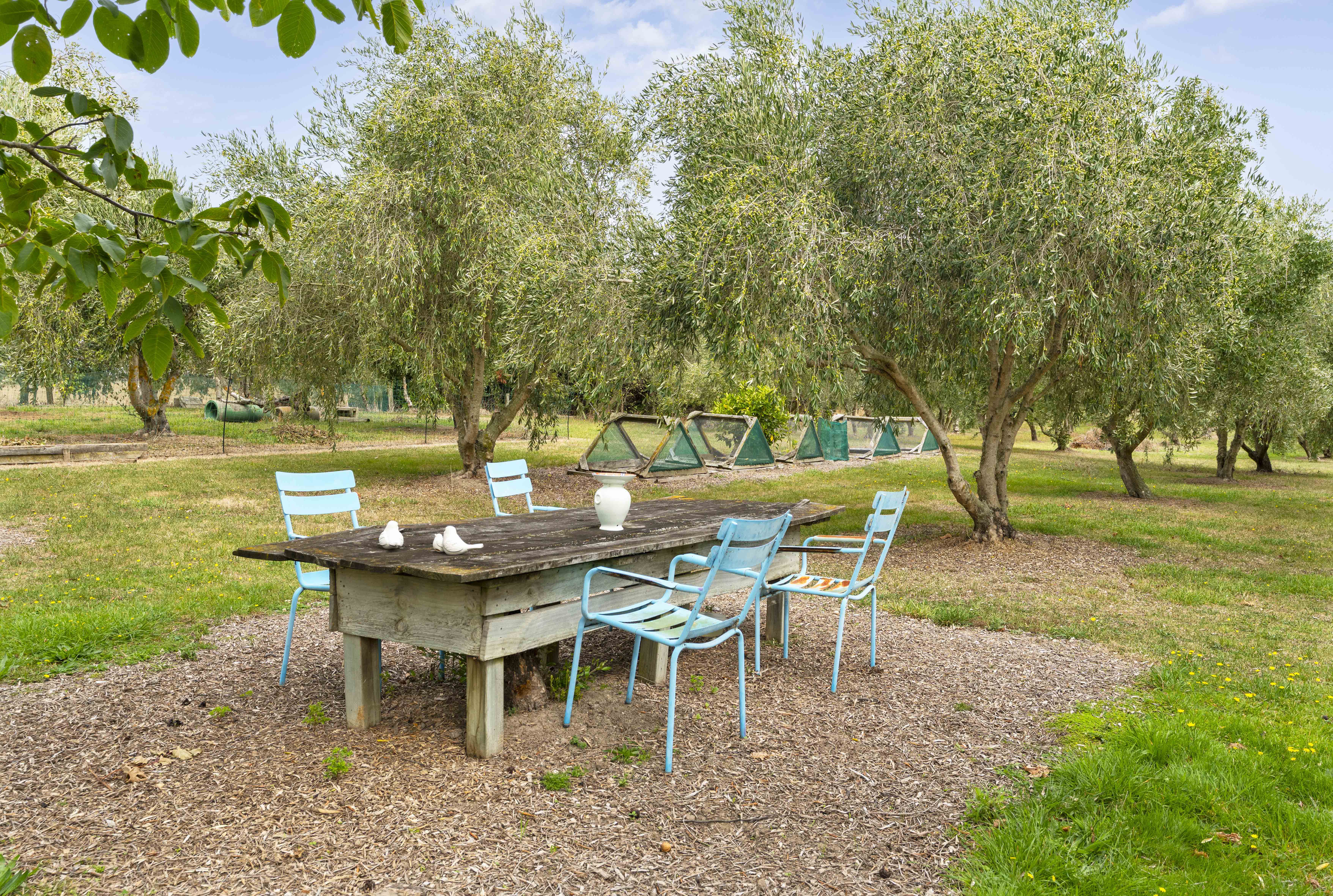  Charming Country Retreat - 物件實景