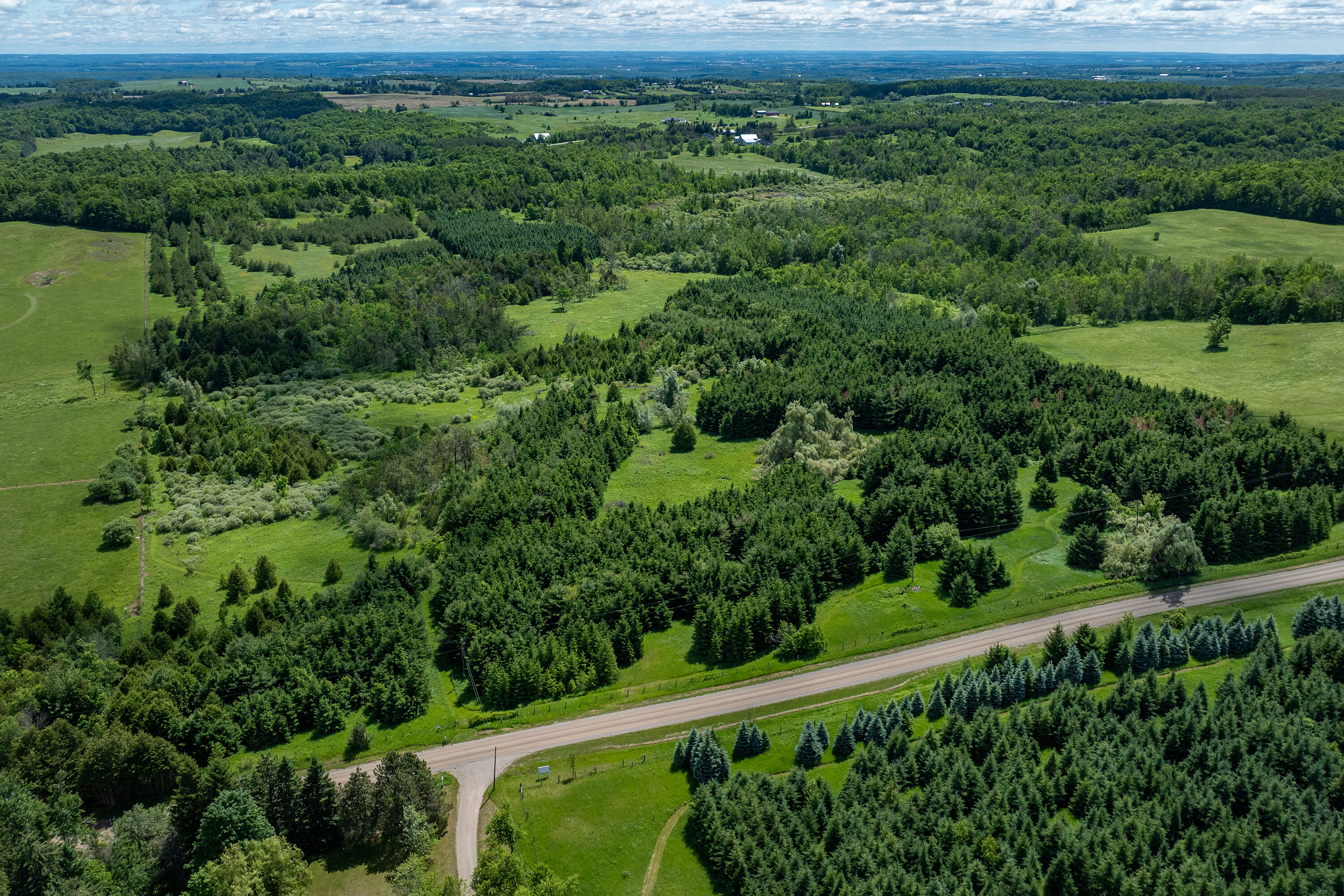  50 acre parcel in Mulmur ON - 物件實景