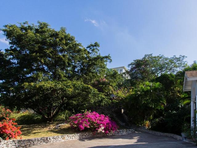 Kingston & St. Andrew, JM, 4 Bedrooms Bedrooms, ,5 BathroomsBathrooms,Residential,For Sale,1615791