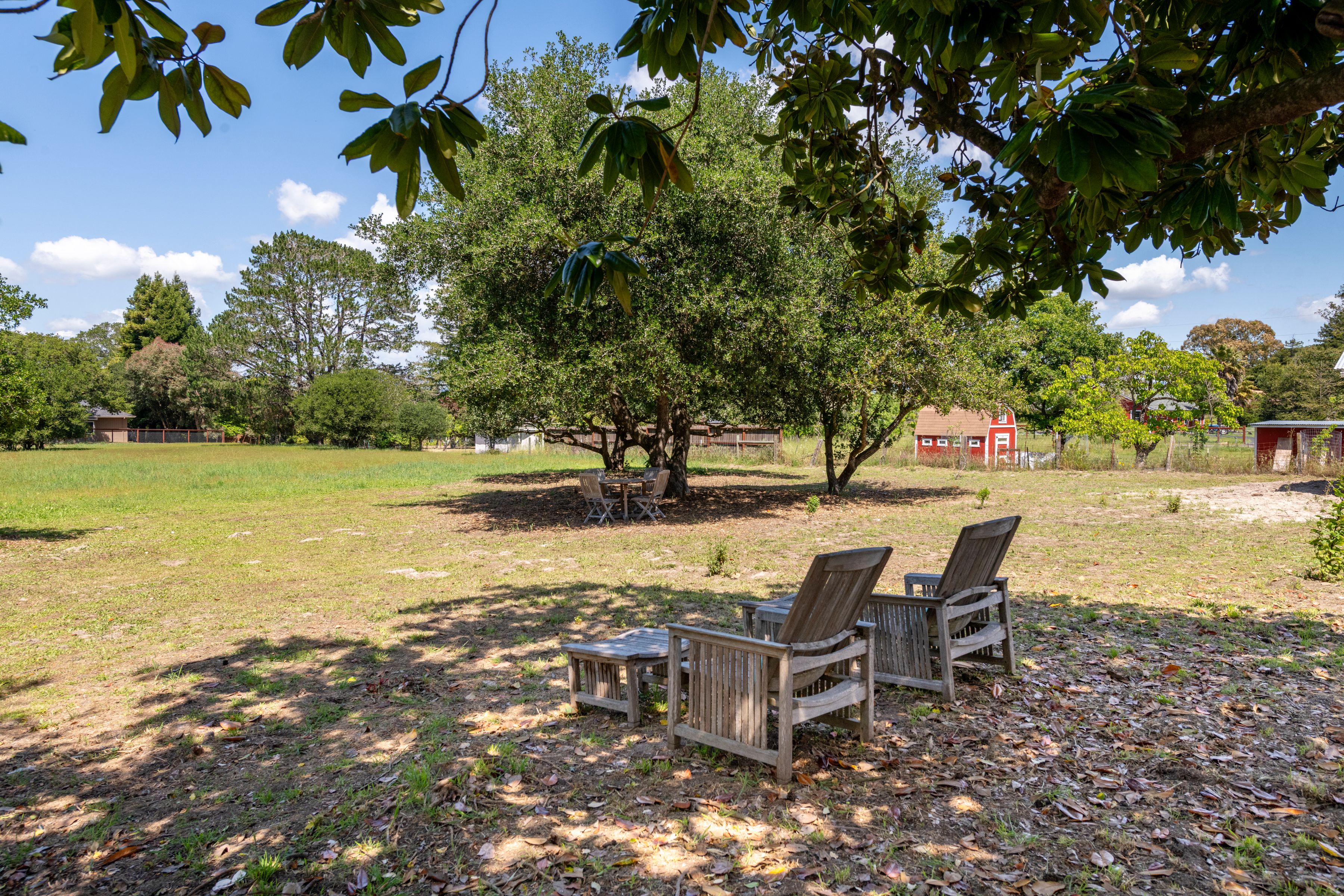  Farmhouse Retreat in Petaluma - 物件實景