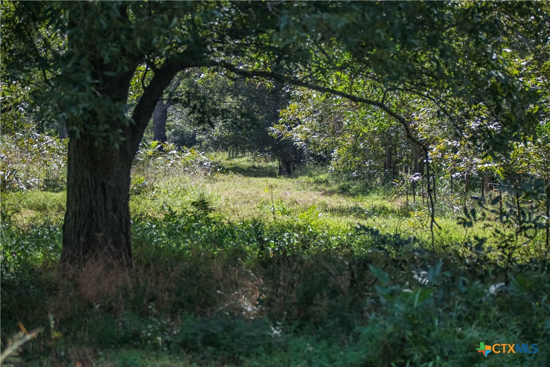 Cuero, Texas, 77954, United States, ,Residential,For Sale,1949163