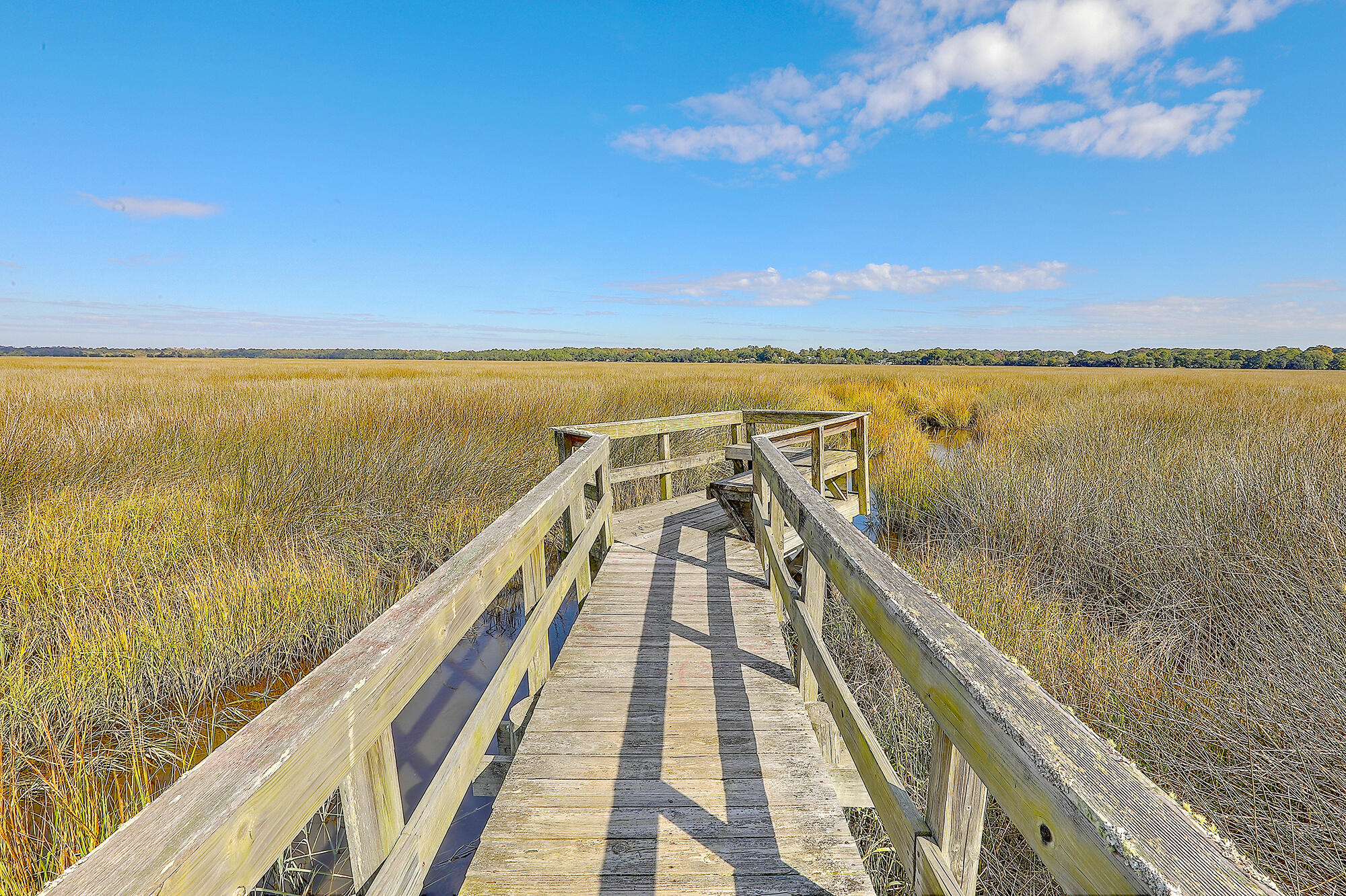 Charleston, South Carolina, 29414, United States, 4 Bedrooms Bedrooms, ,4 BathroomsBathrooms,Residential,For Sale,1895011