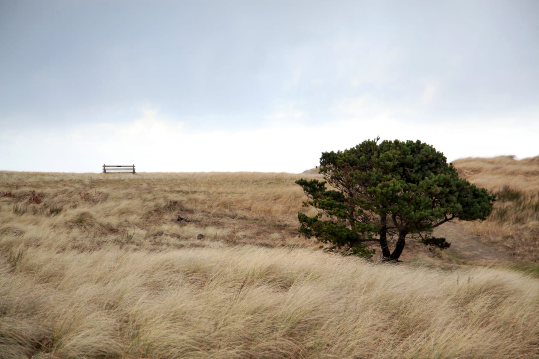  1146 N MARION AVE #680 Gearhart, OR 97138 - 物件實景