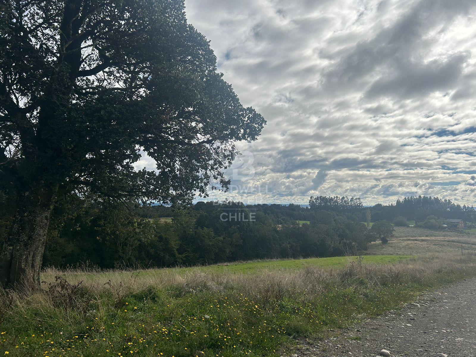 Puerto Varas, Chile, ,Residential,For Sale,2003315