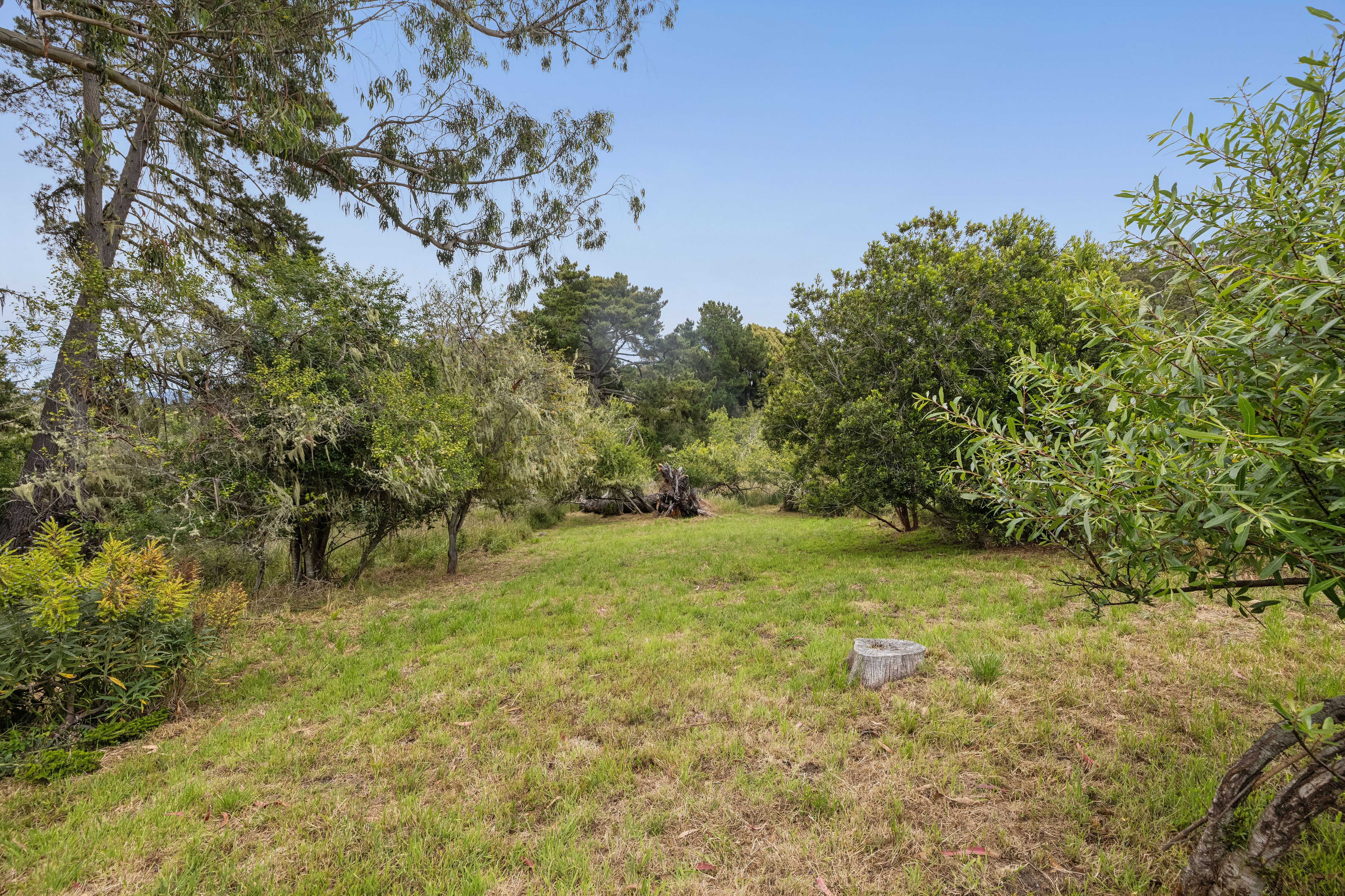  Radiant Residence, Natural Habitat in Bolinas - 物件實景