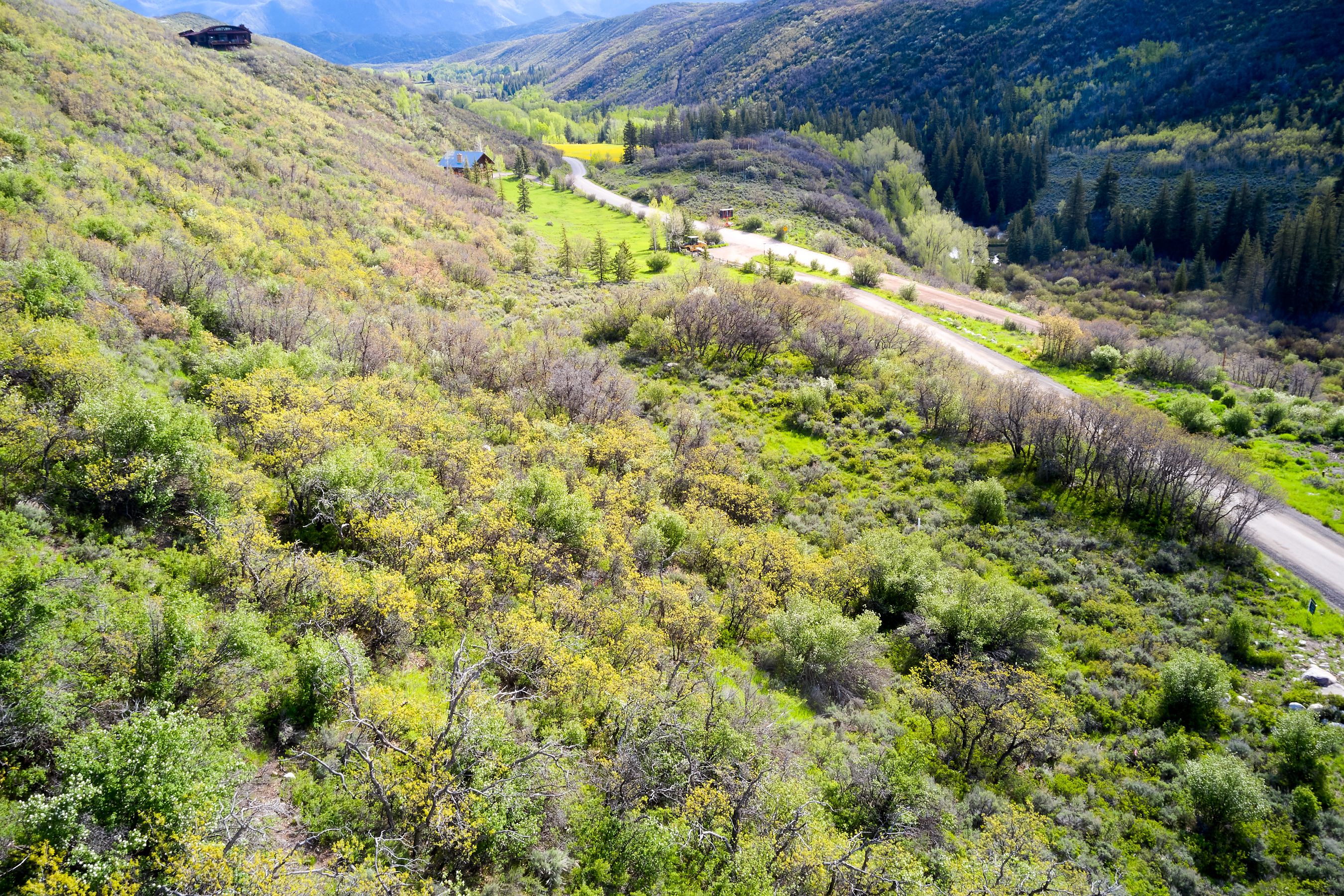  51 Shield O Road, Snowmass, CO, 81654 - 物件實景