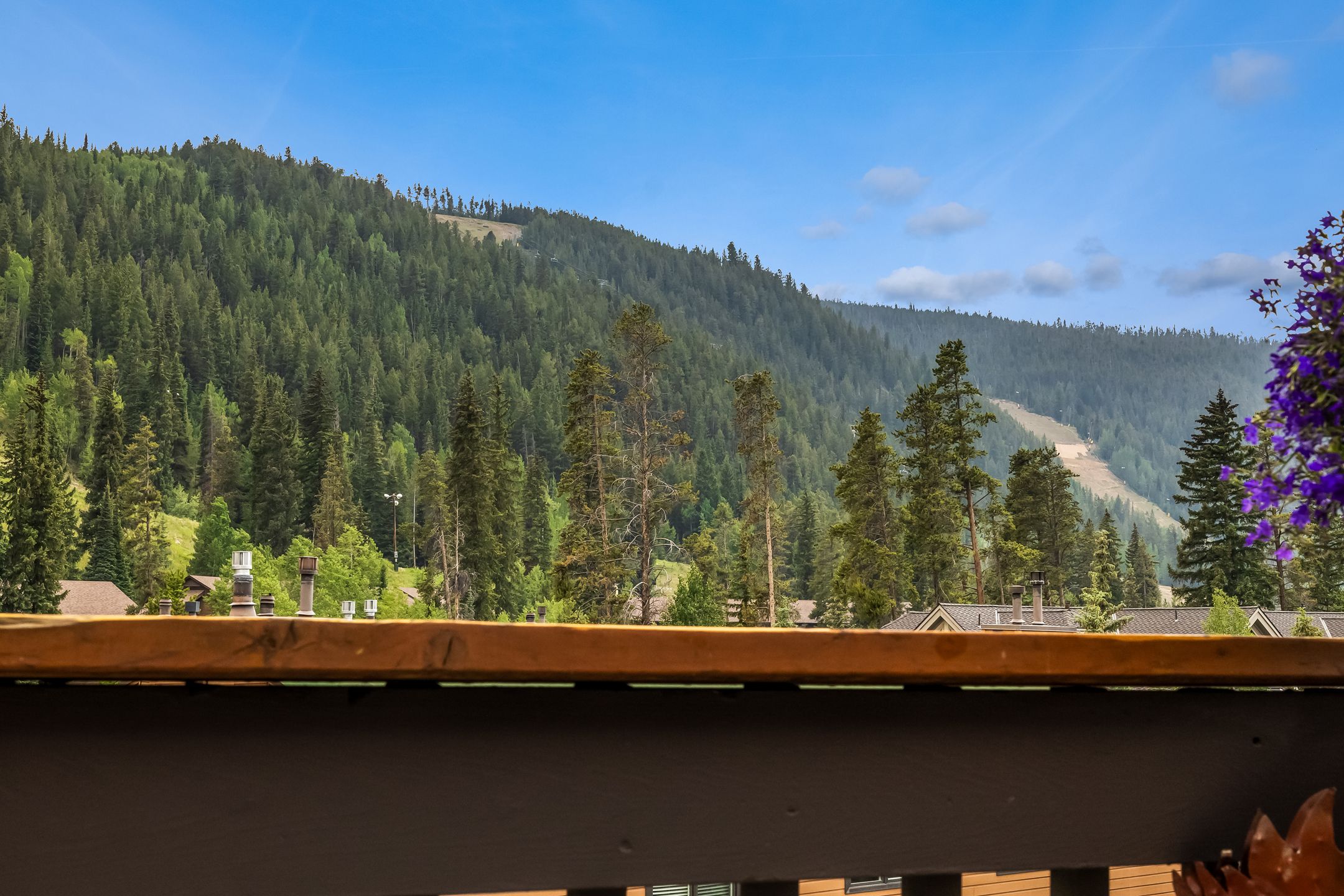  1493 E Keystone Road, Keystone, CO, 80435 - 物件實景