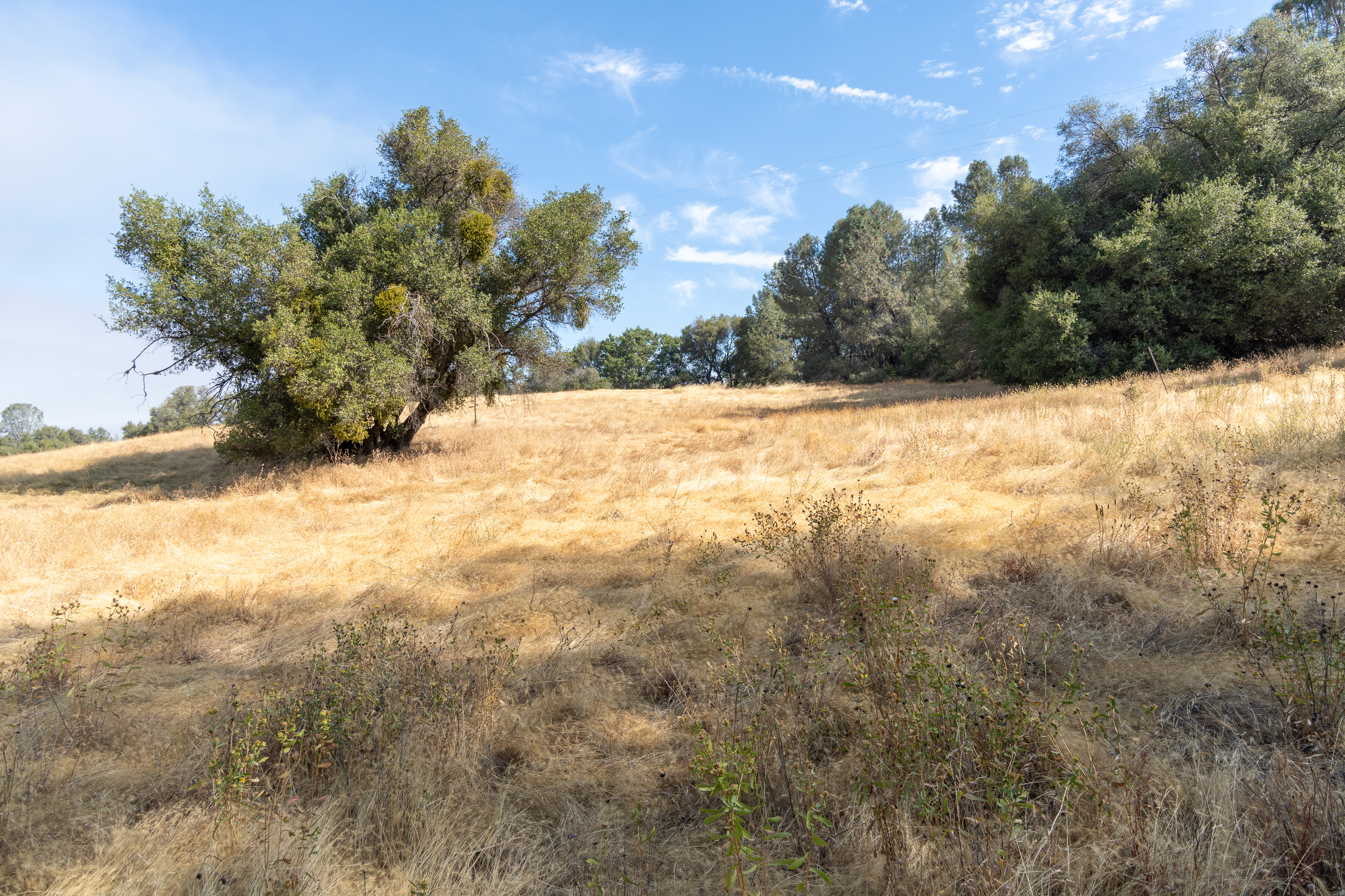  Historic Gold Rush-Era Ranch on 60 Acres in El Dorado County - 物件實景