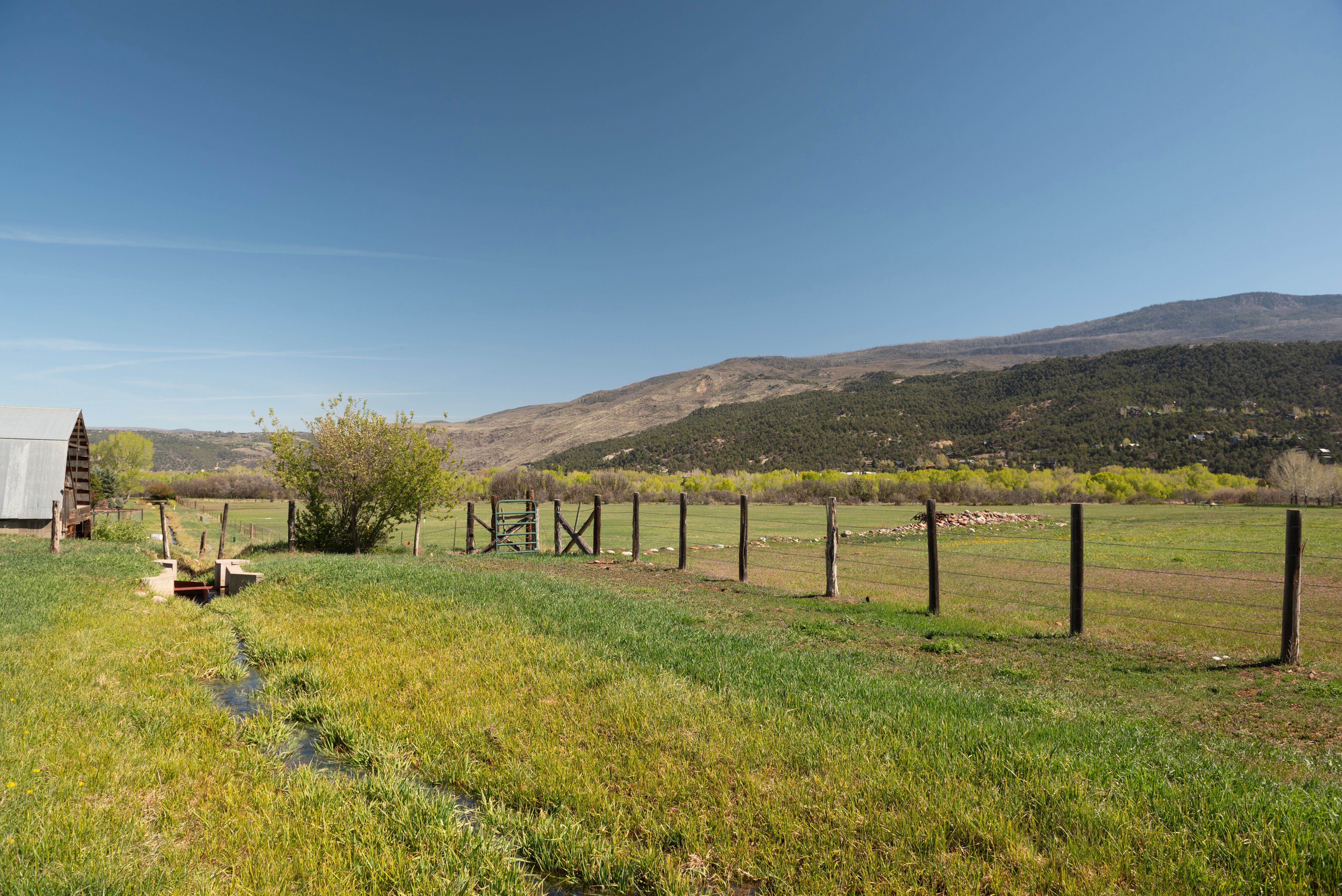  464 Hooks Lane, Basalt, CO, 81621 - 物件實景