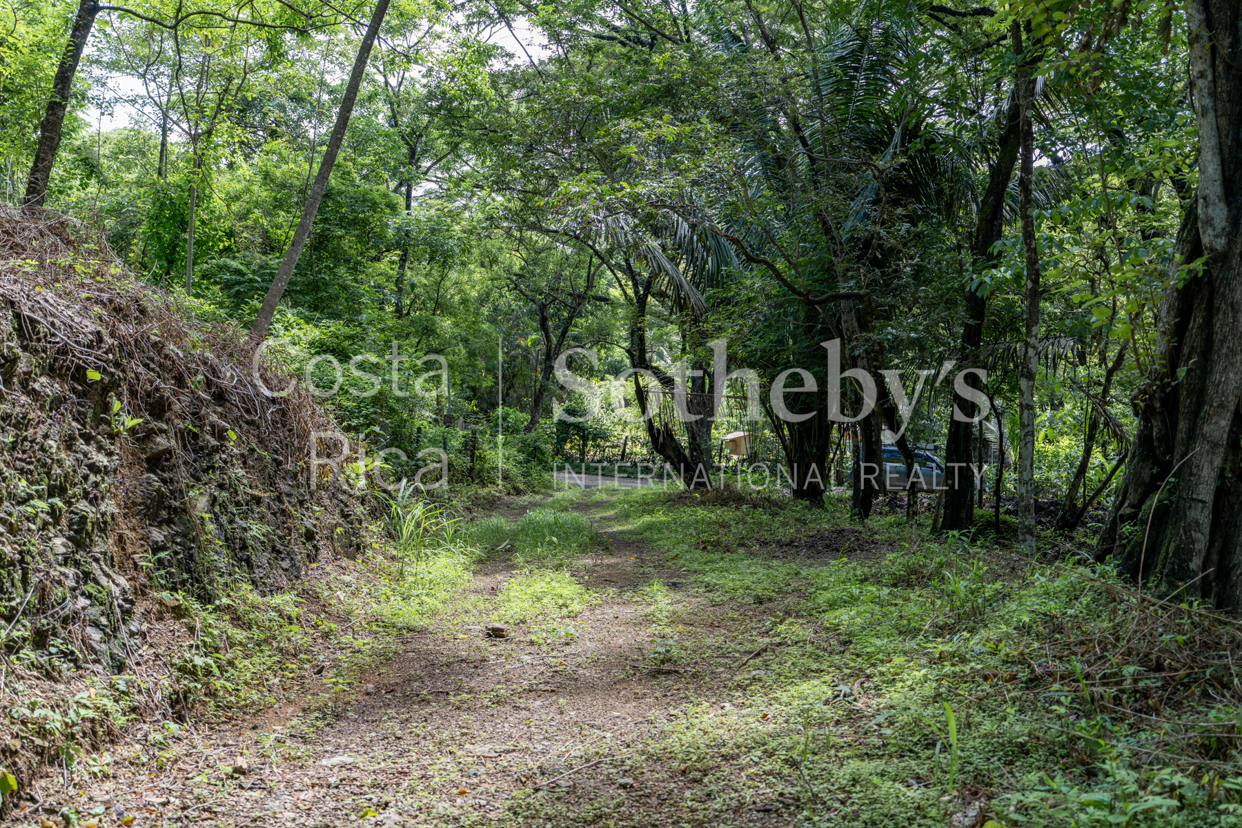  Playa Pelada Large Property - 物件實景