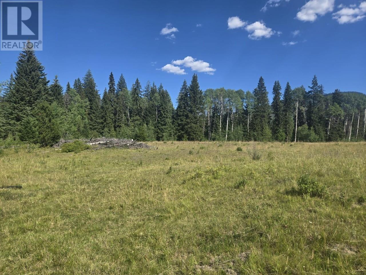 FALKLAND, British Columbia, V0E 1W1, CA, ,Residential,For Sale,1906760