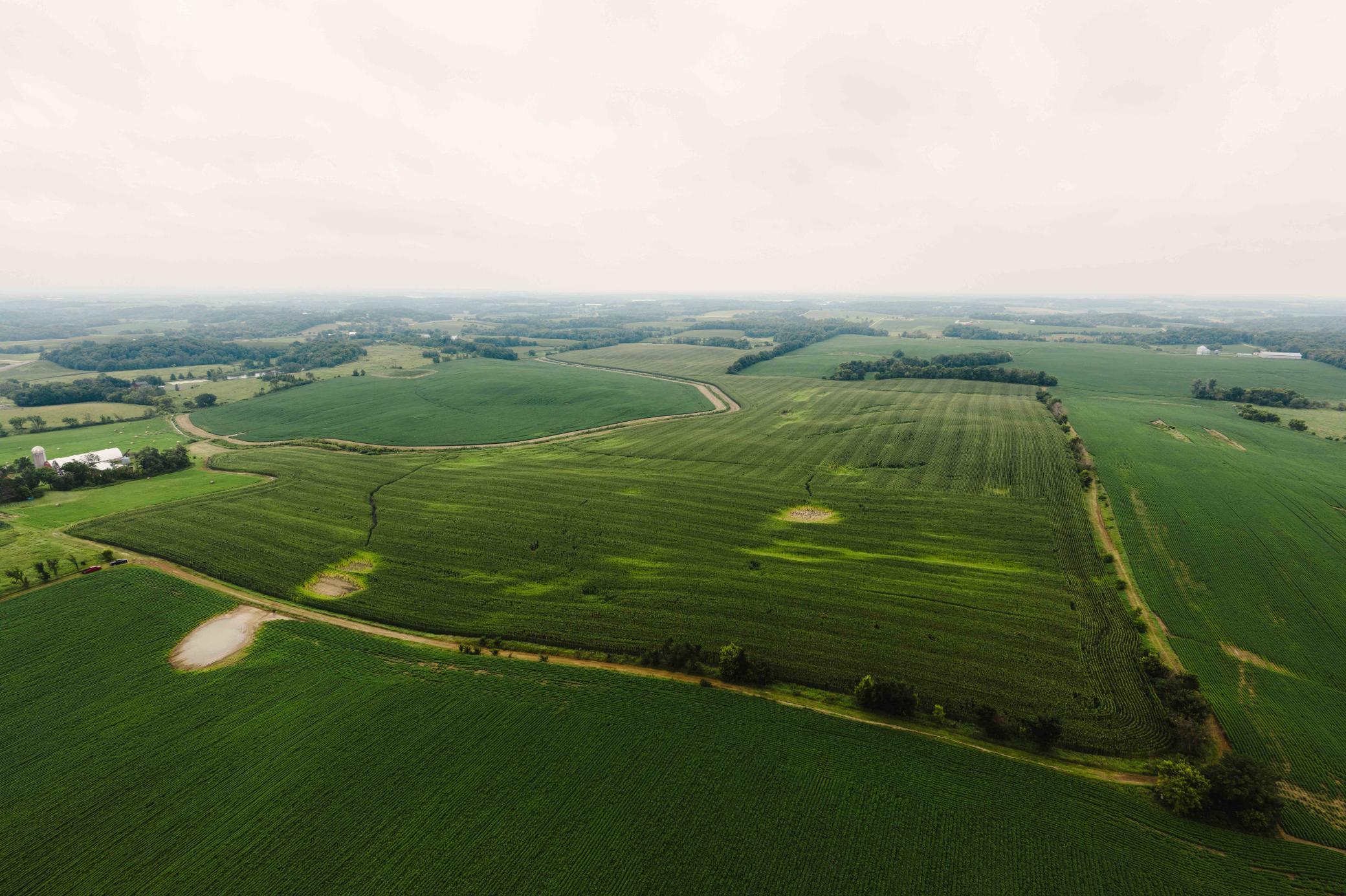 Lonsdale, Minnesota, 55046, United States, ,Residential,For Sale,1979816