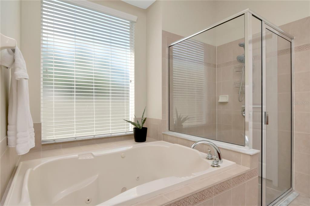 Land O Lakes, Florida, 34637, United States, 4 Bedrooms Bedrooms, ,3 BathroomsBathrooms,Residential,For Sale,1925583