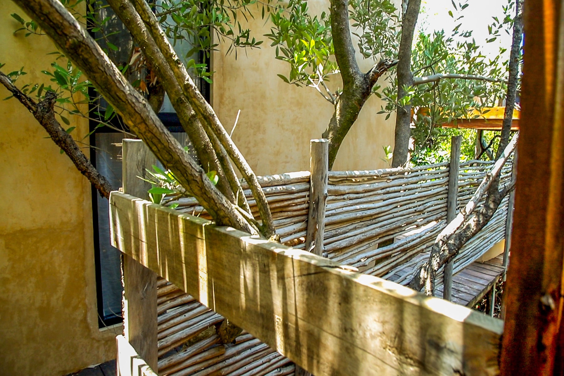  The Twin Canopy Estate  Private Sanctuary in Holbox - 物件實景