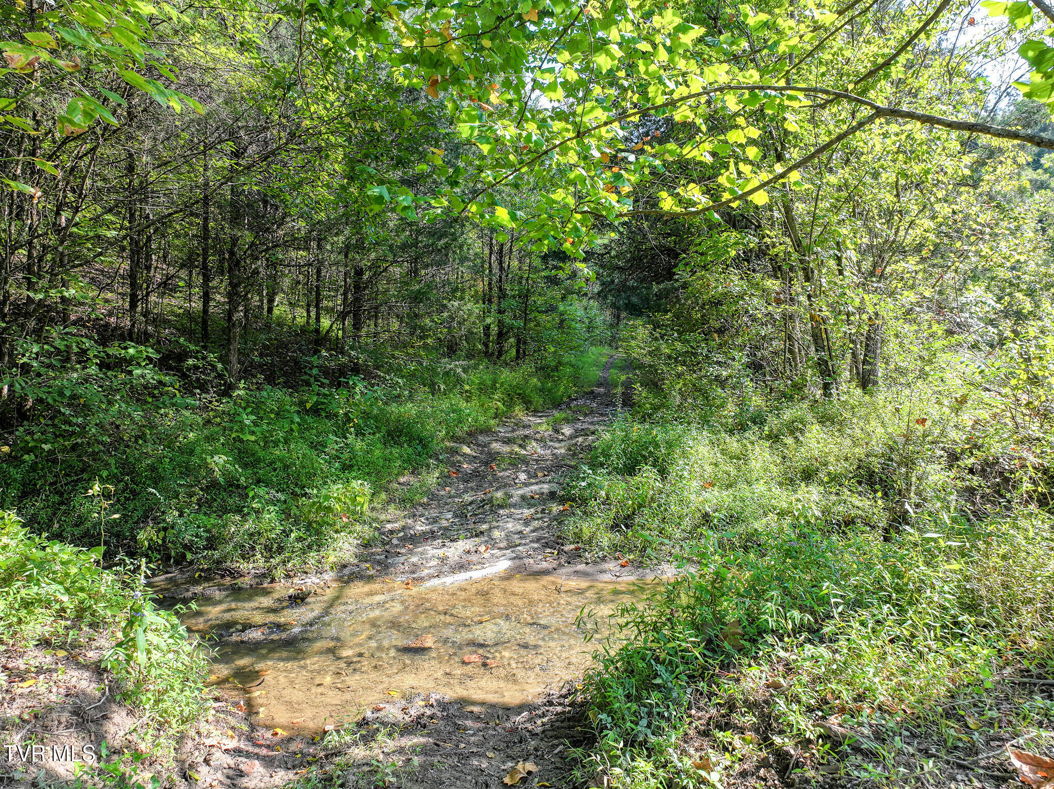 Greeneville, Tennessee, 37745, United States, 3 Bedrooms Bedrooms, ,3 BathroomsBathrooms,Residential,For Sale,2039547