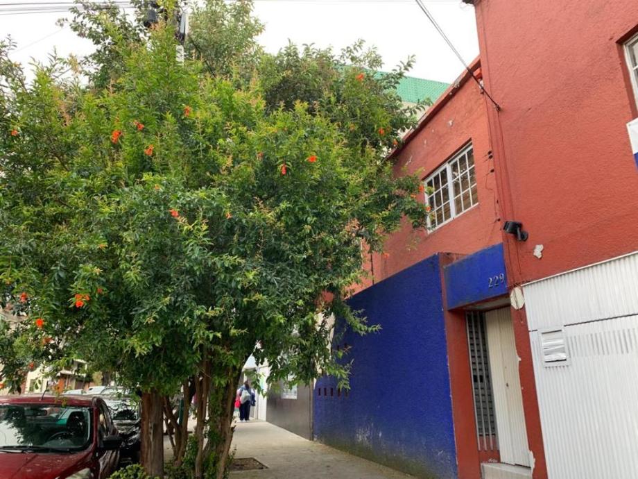 Monte Alb?n, Benito Juárez, Ciudad de México, 03020, Mexico, 5 Bedrooms Bedrooms, ,3 BathroomsBathrooms,Residential,For Sale,Monte Alb?n,1220853