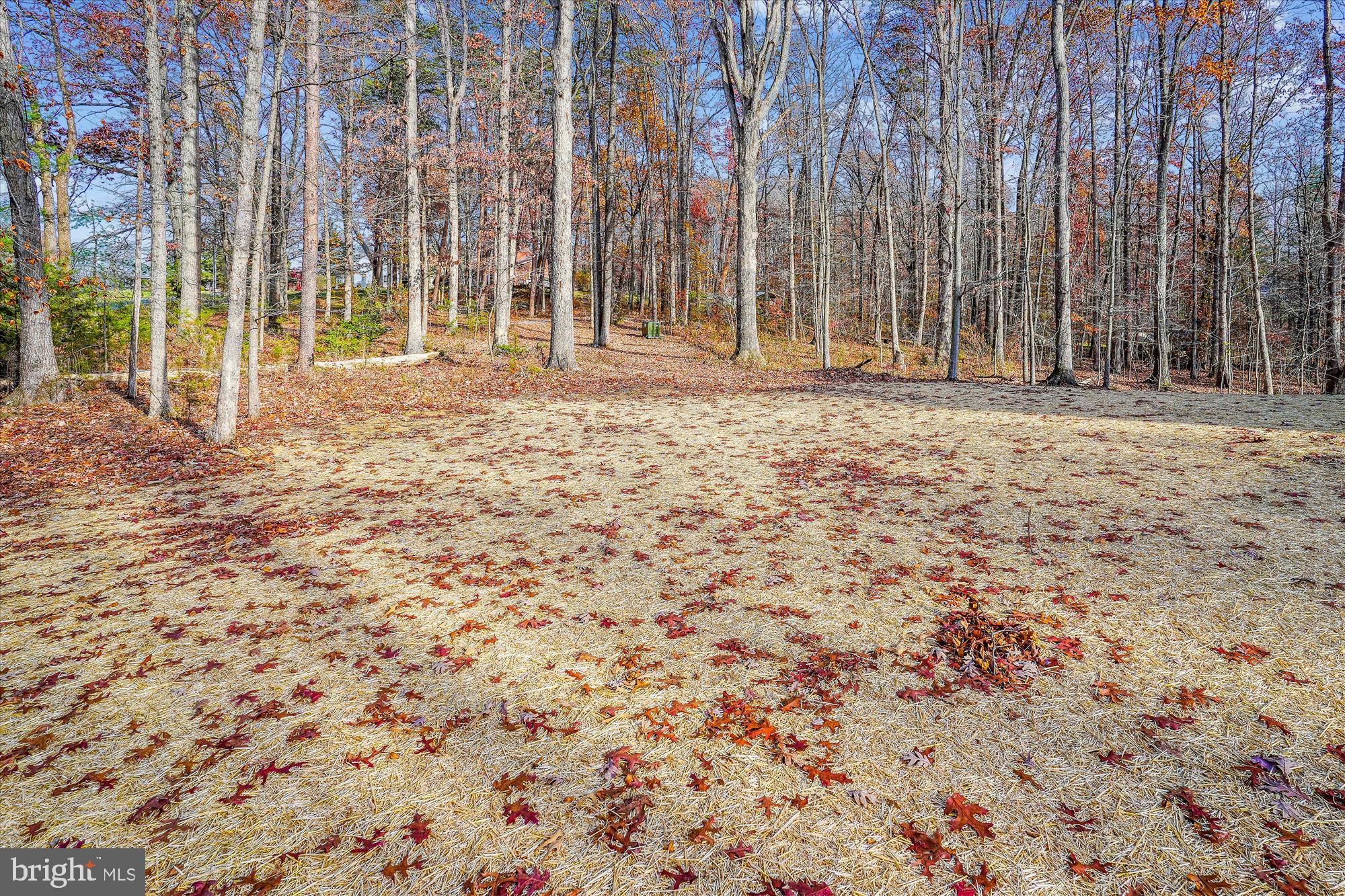 Culpeper, Virginia, 22701, United States, 3 Bedrooms Bedrooms, ,2 BathroomsBathrooms,Residential,For Sale,1980884