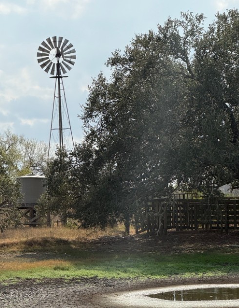 Runge, Texas, 78151, United States, 3 Bedrooms Bedrooms, ,2 BathroomsBathrooms,Residential,For Sale,1996621