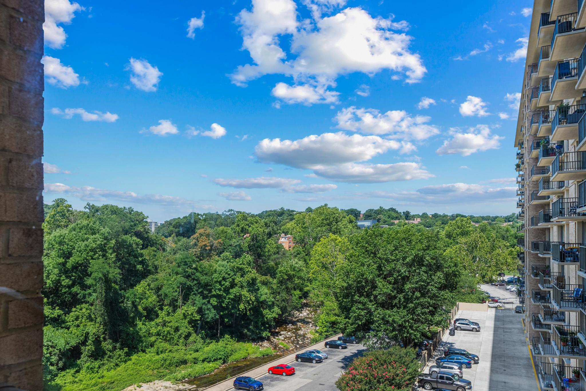 4600 S Four Mile Run Drive S, Arlington, VA, 22204 - 物件實景