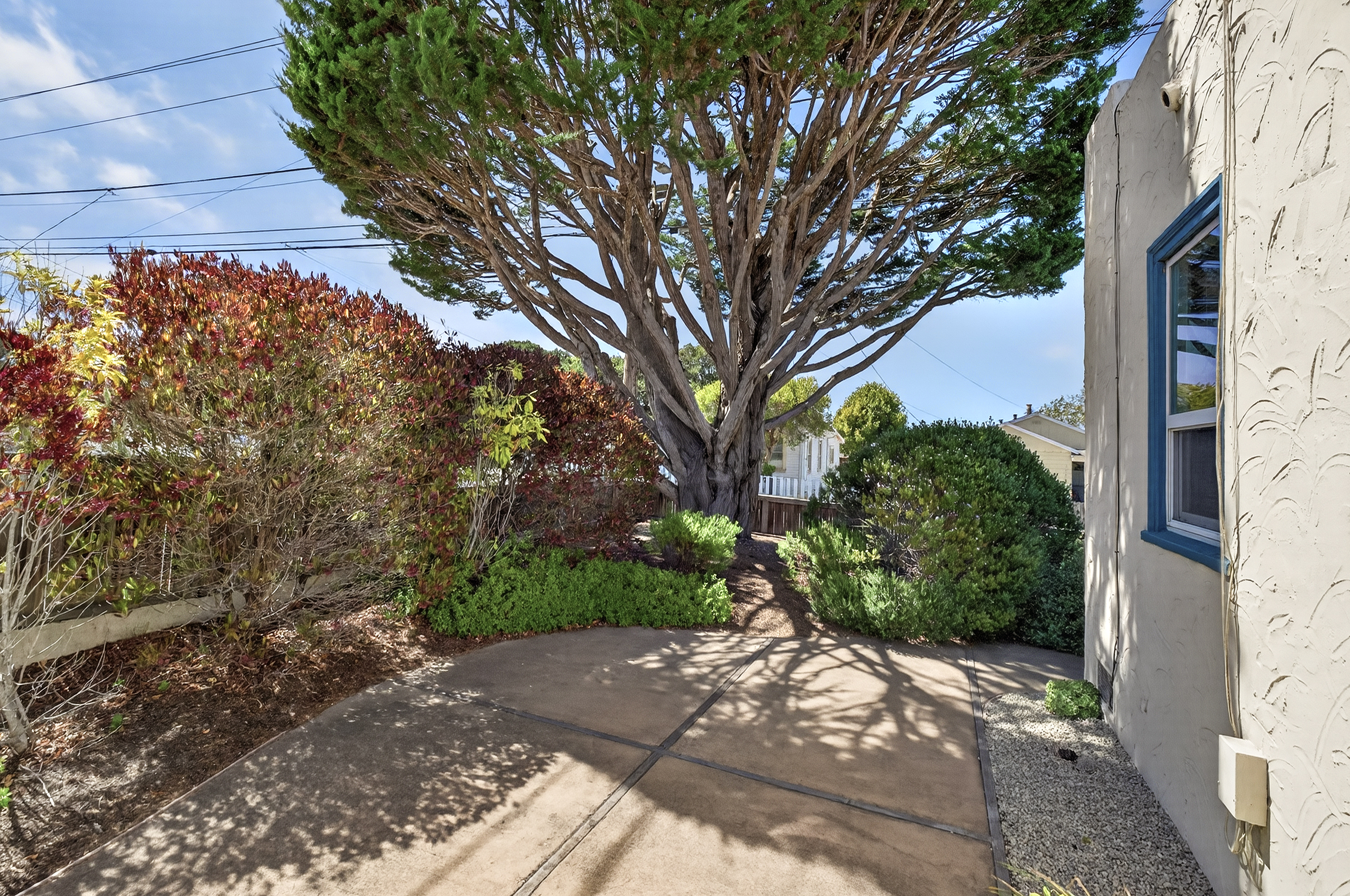  1099 David Avenue - 物件實景