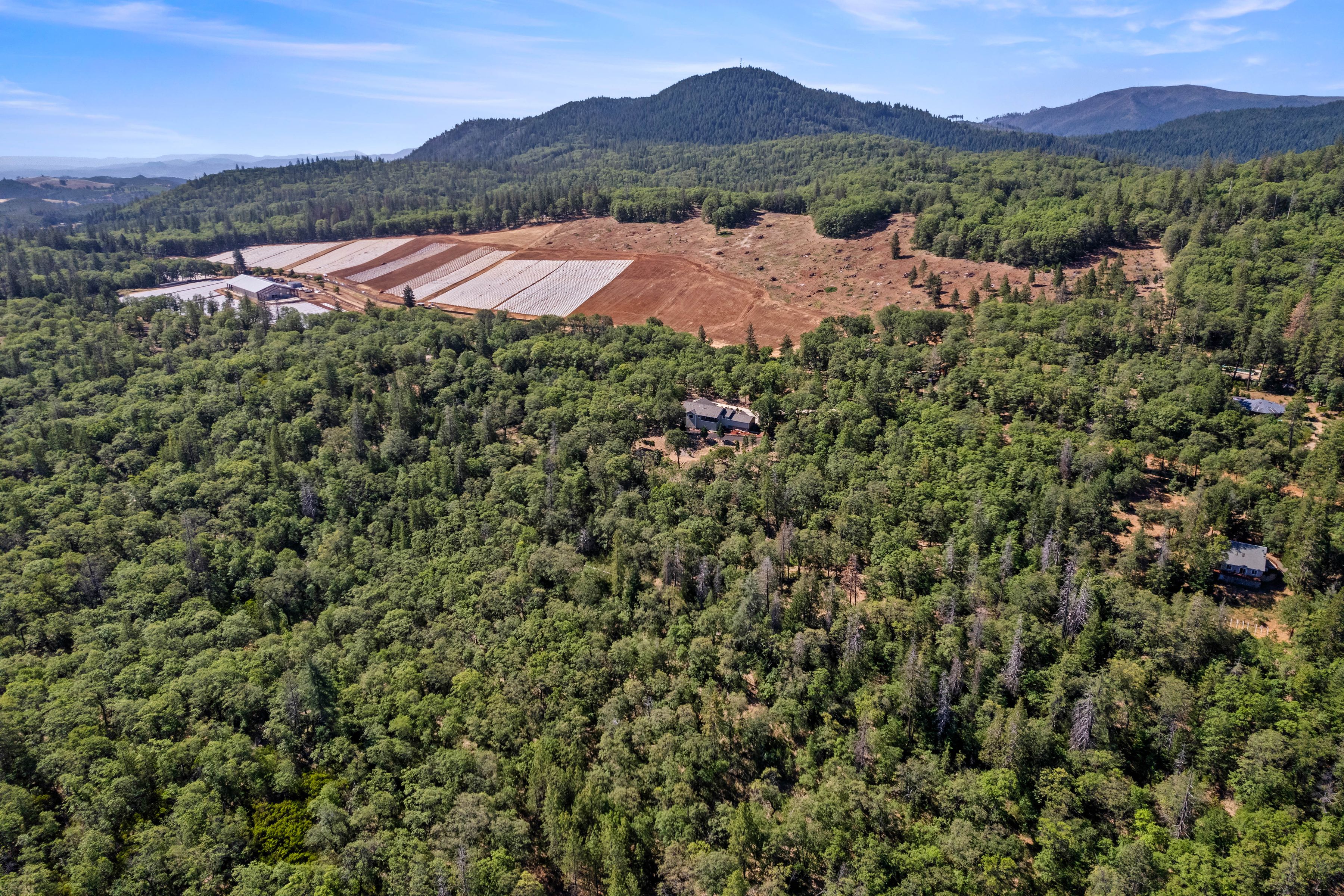 10550 Seigler Springs North Road - 物件實景