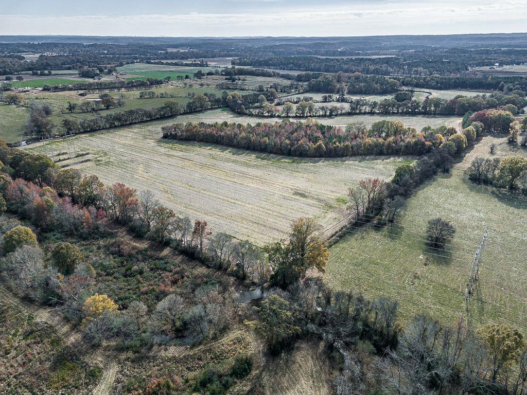 Taylorsville, Georgia, 30178, United States, ,Land,For Sale,1795283