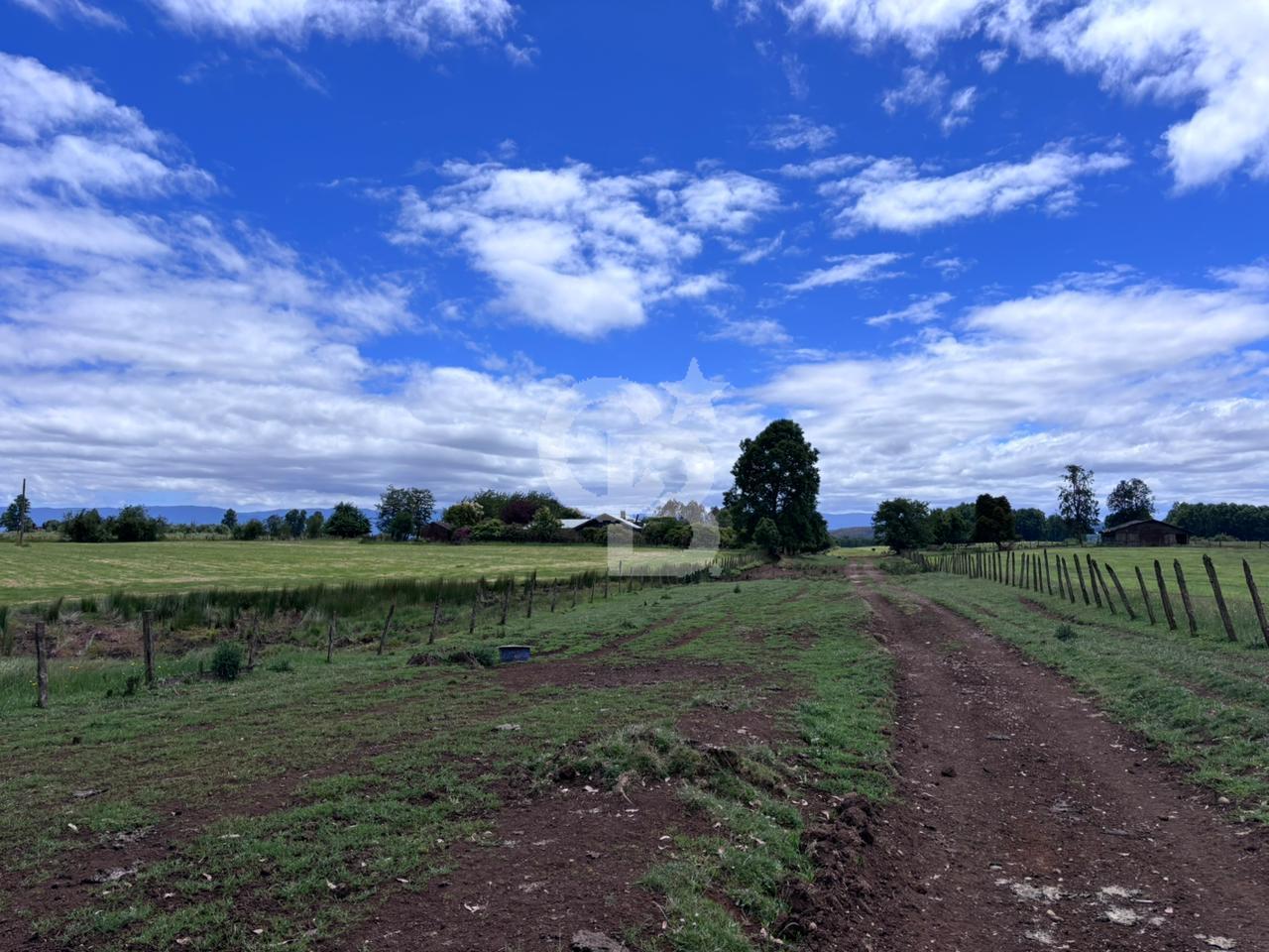 Fresia, Chile, ,Land,For Sale,2003048