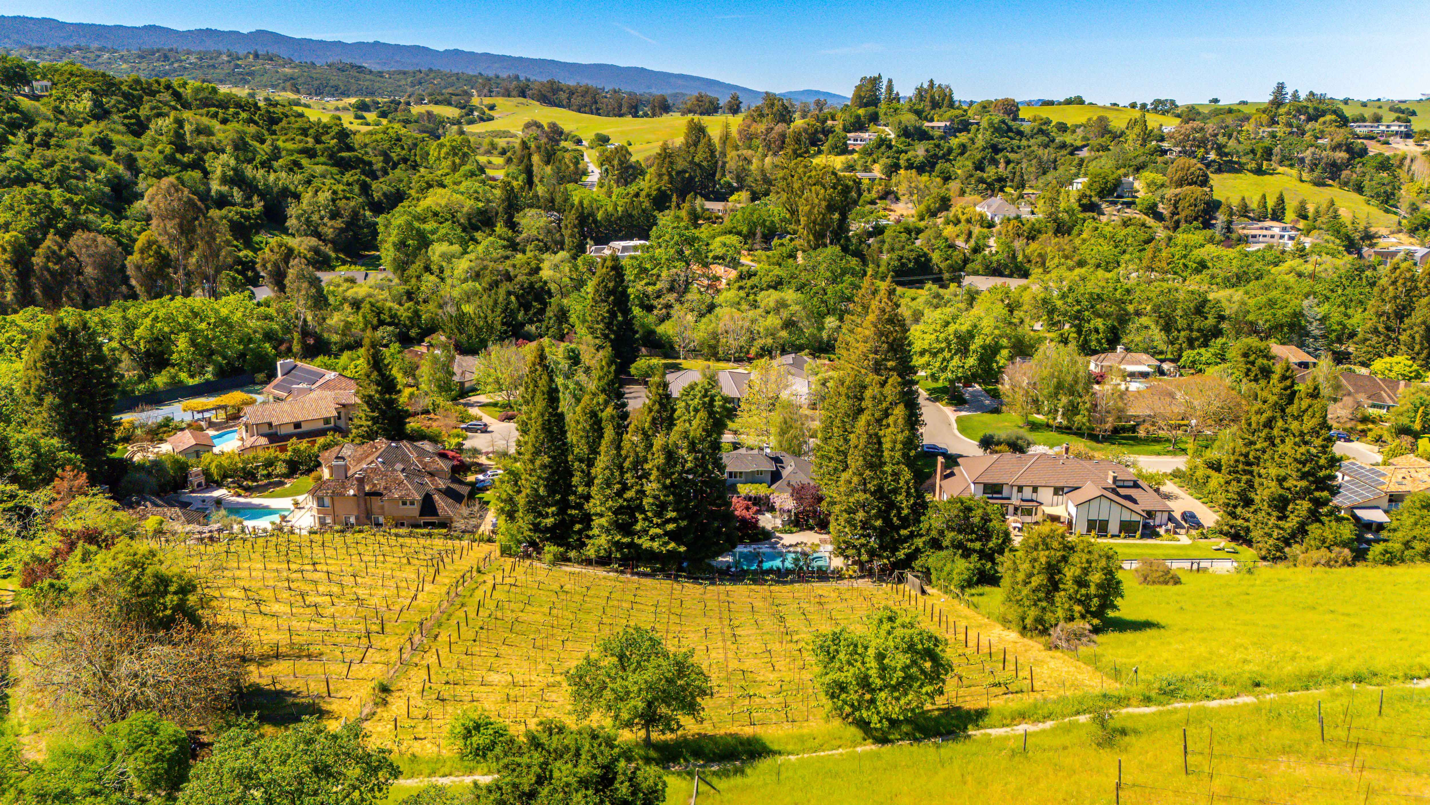  Elegant Vineyard Estate with Resort-Like Grounds - 物件實景