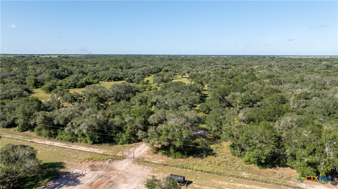 Inez, Texas, 77968, United States, ,Land,For Sale,1918148