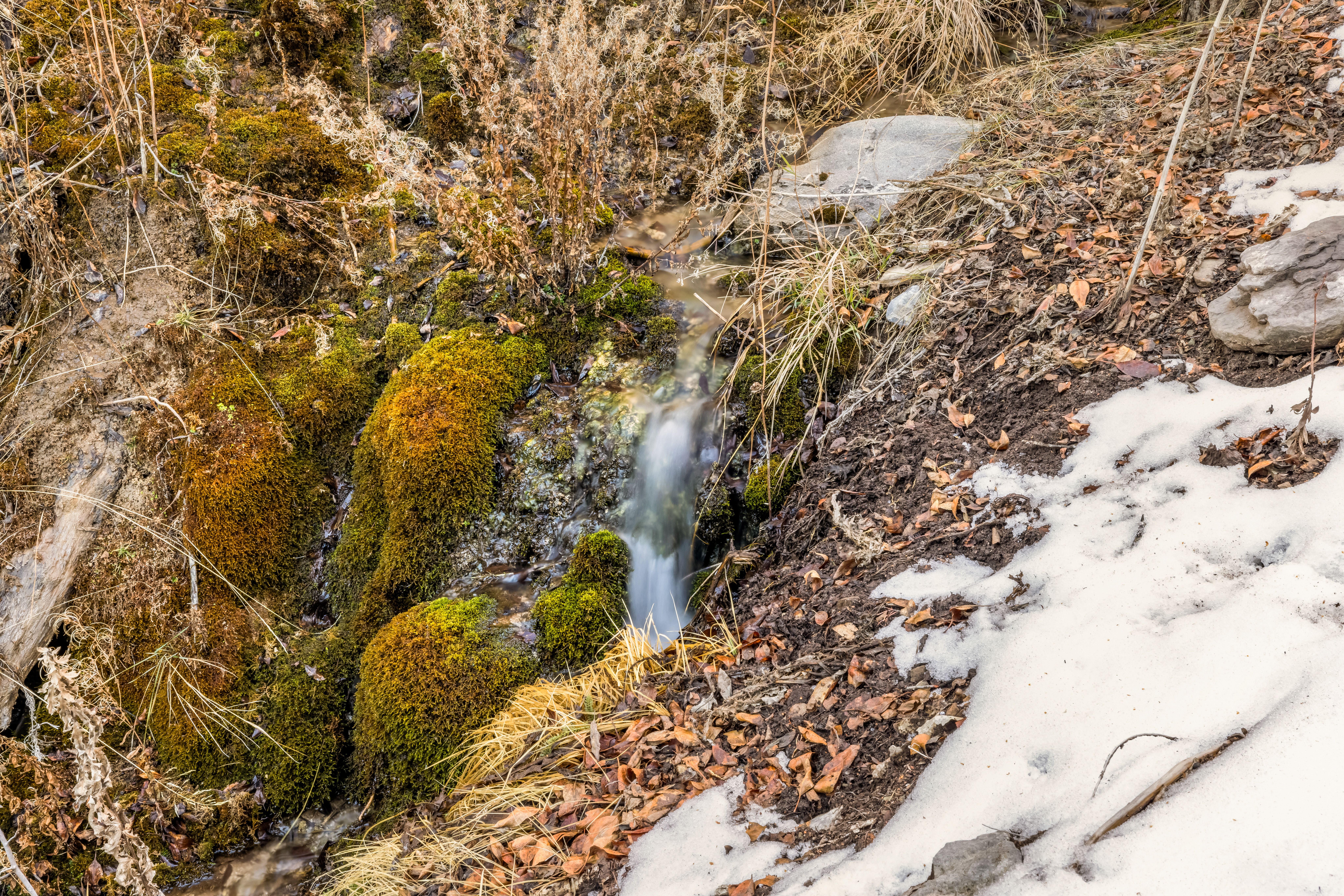  The Most Coveted Homesite in Cordillera - 物件實景