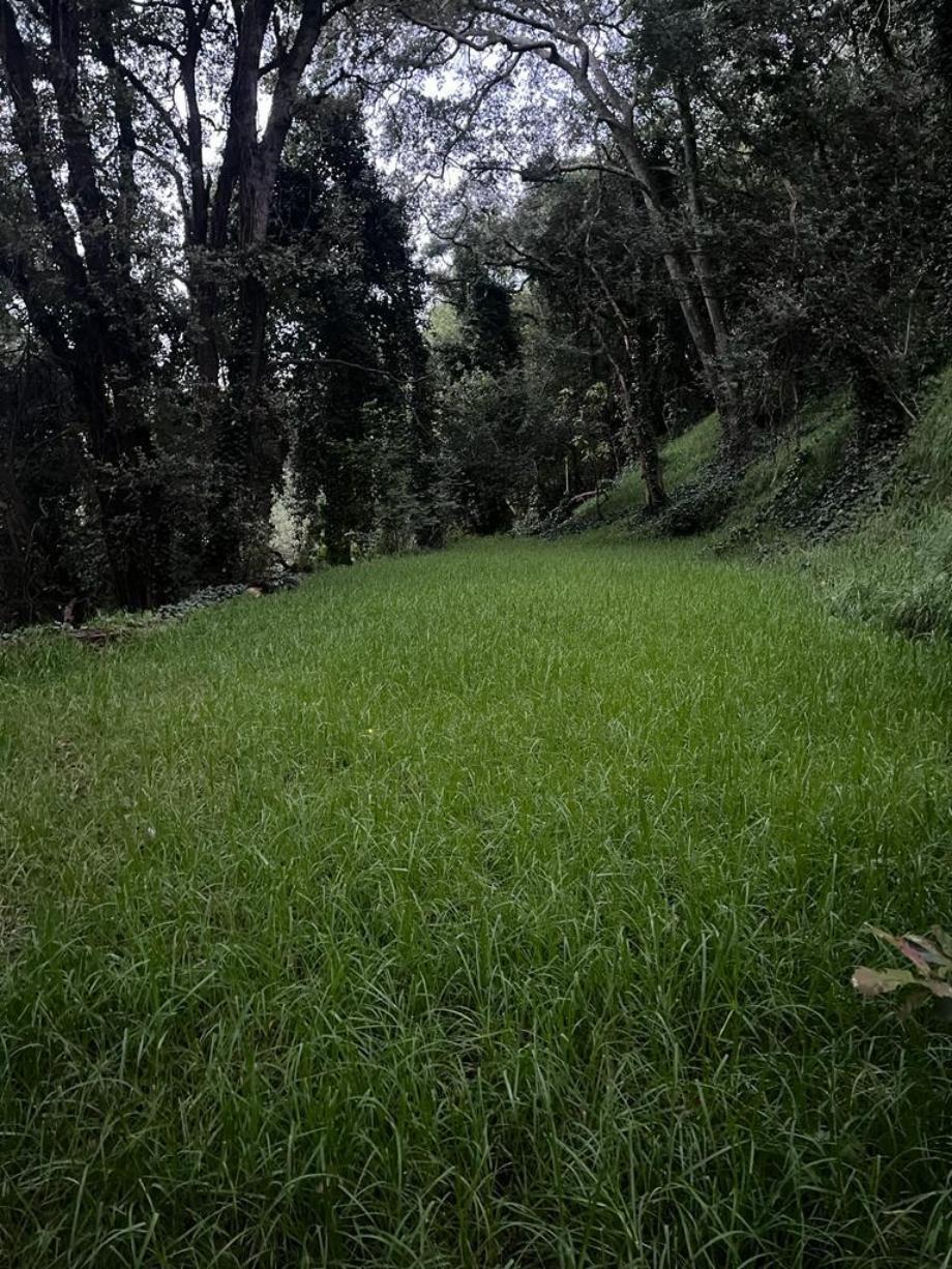 Privada de Cedros, Álvaro Obregón, Ciudad de México, 01790, Mexico, 4 Bedrooms Bedrooms, ,3 BathroomsBathrooms,Residential,For Sale,Privada de Cedros,1443690