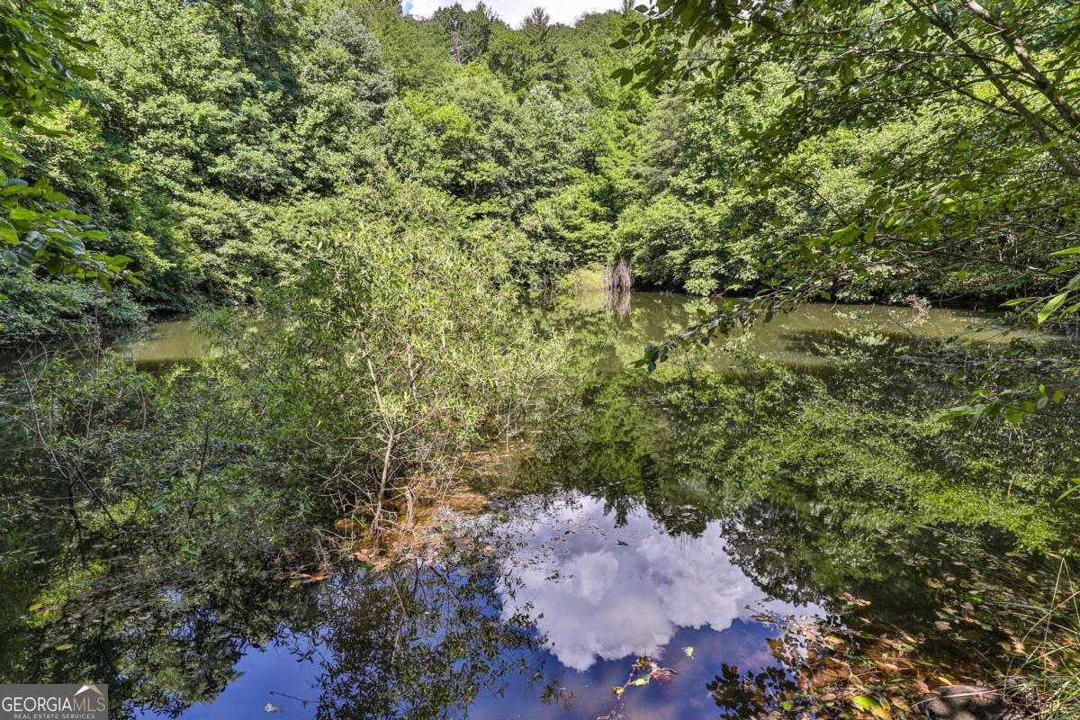 Cherry Log, Georgia, 30522, United States, ,Land,For Sale,1859131