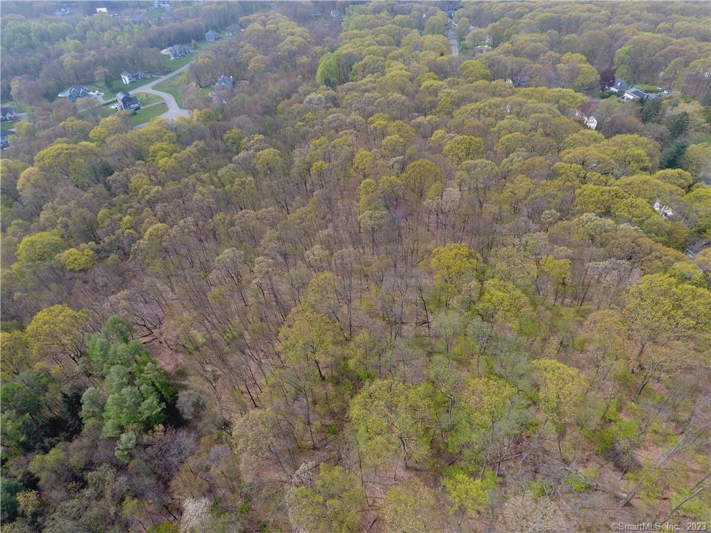 Prospect, Connecticut, 06712, United States, ,Land,For Sale,1752585