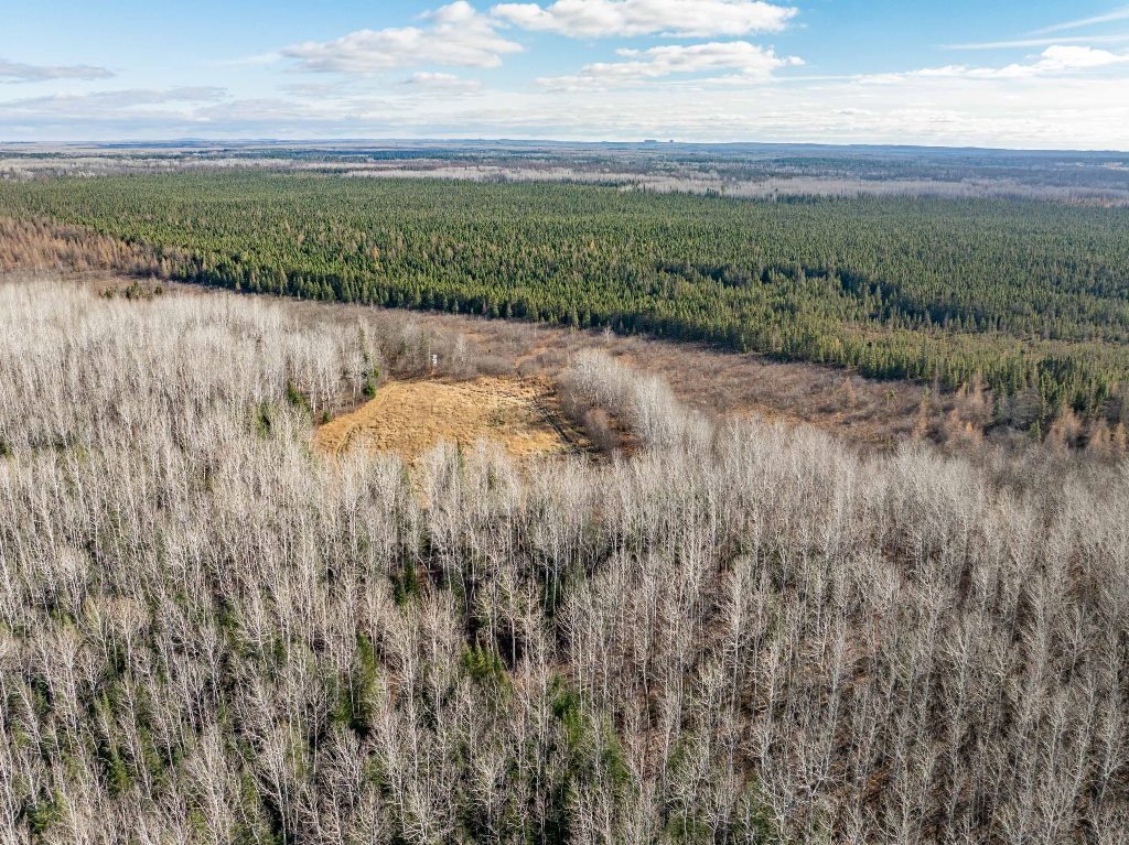 Grand Rapids, Minnesota, 55744, United States, ,Land,For Sale,1983791