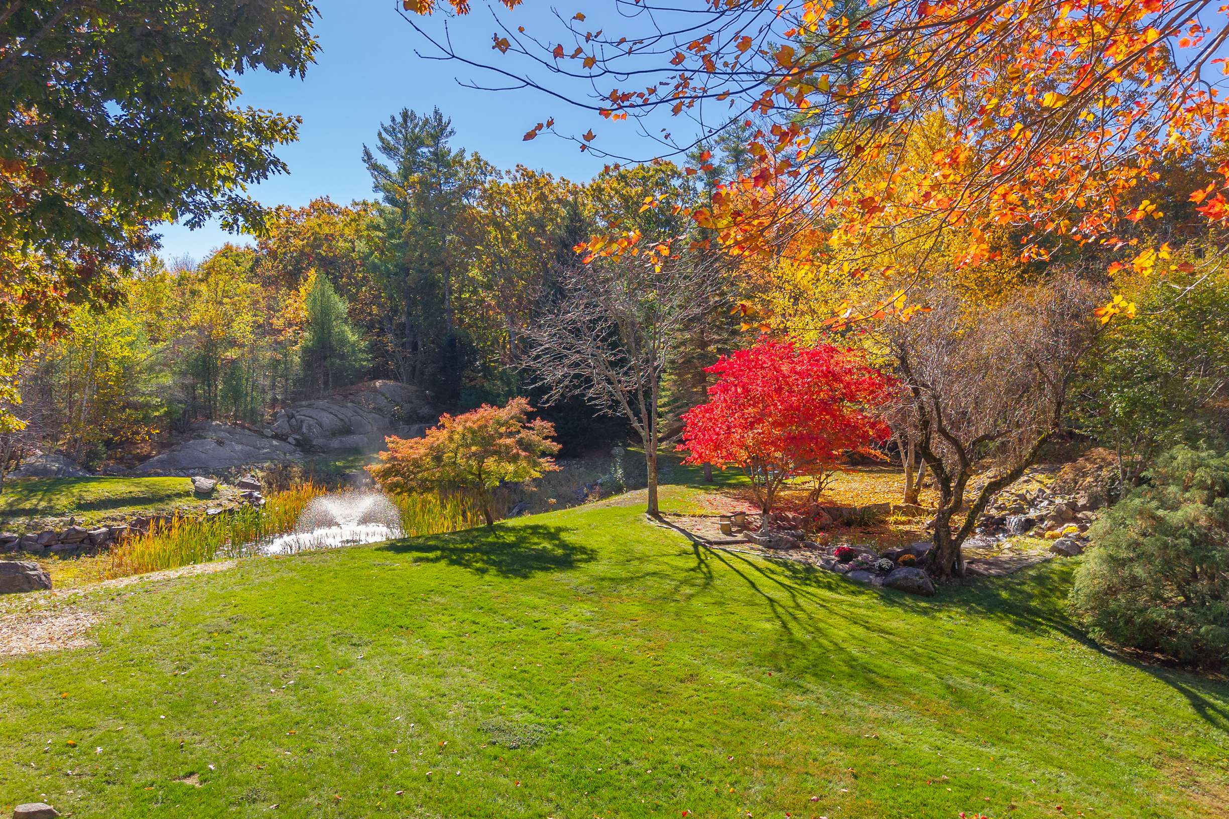  Private Contemporary Oasis in Cape Neddick - 物件實景