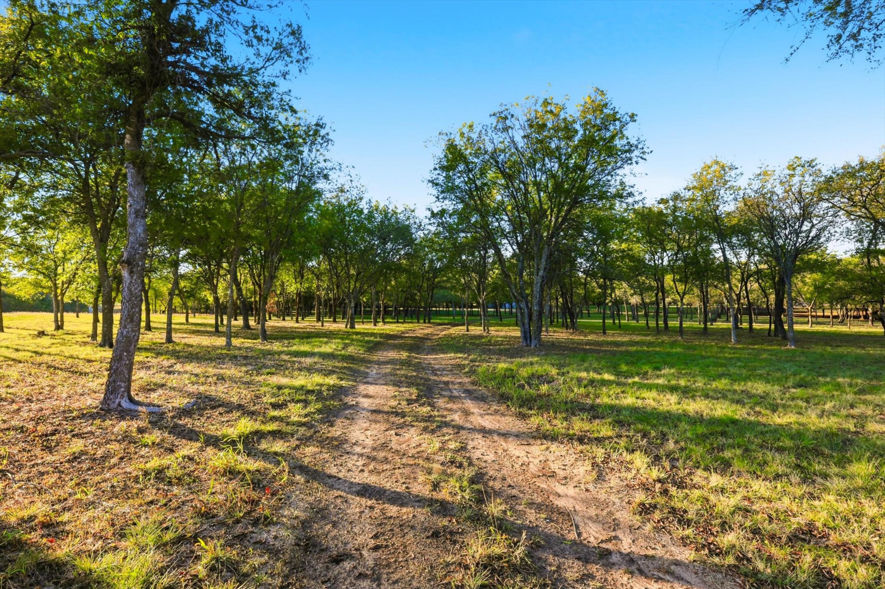  20 Acre Ranchette near luxury golf community in prestigious Aledo ISD - 物件實景
