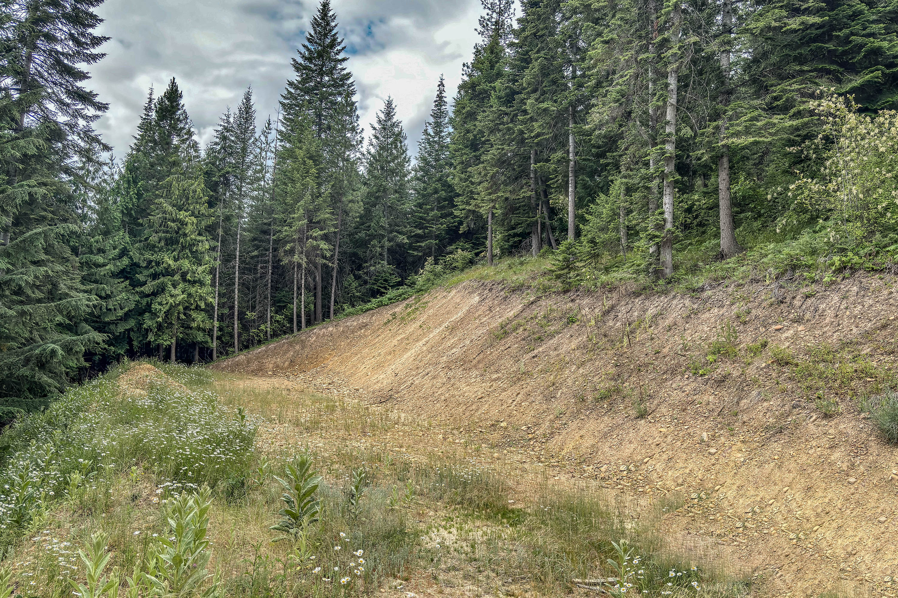 Kingston, Idaho, 83839, United States, 3 Bedrooms Bedrooms, ,2 BathroomsBathrooms,Residential,For Sale,1980630